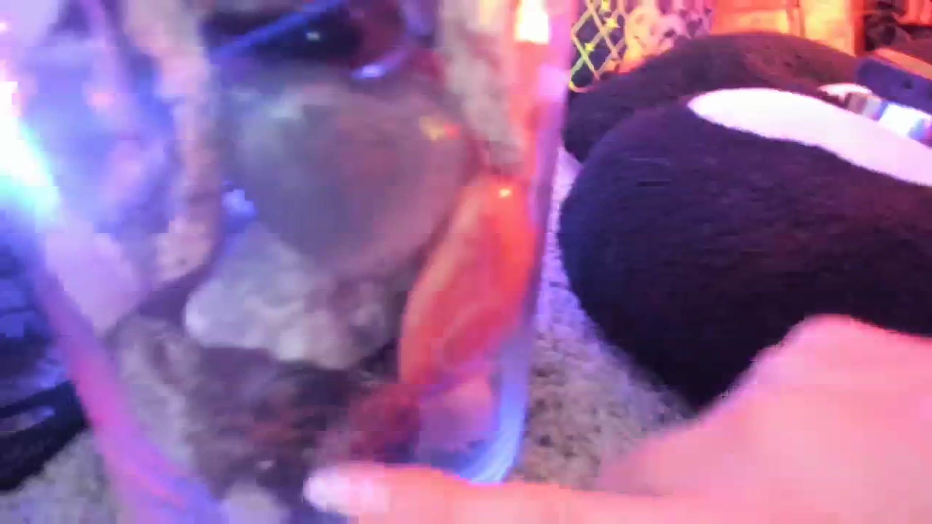 Gallery image thumbnail from Isabelle_Babe's myfreecams stream on, 03/20/2024, 08:18 image 5 of 20