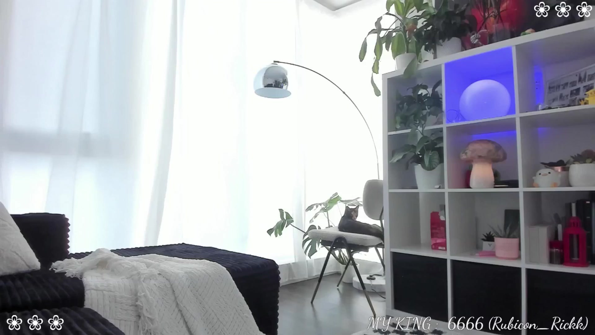 Gallery image thumbnail from Issa_'s myfreecams stream on, 07/13/2025, 02:32 image 19 of 20