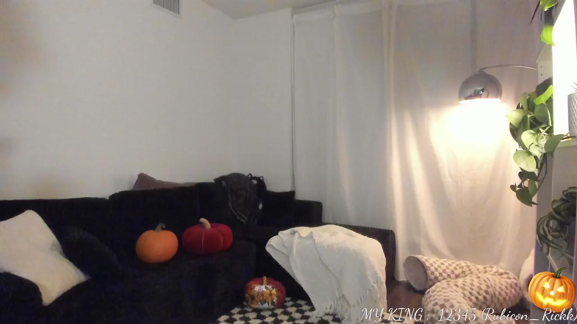 Gallery image thumbnail from Issa_'s myfreecams stream on, 11/01/2025, 02:48 image 6 of 20