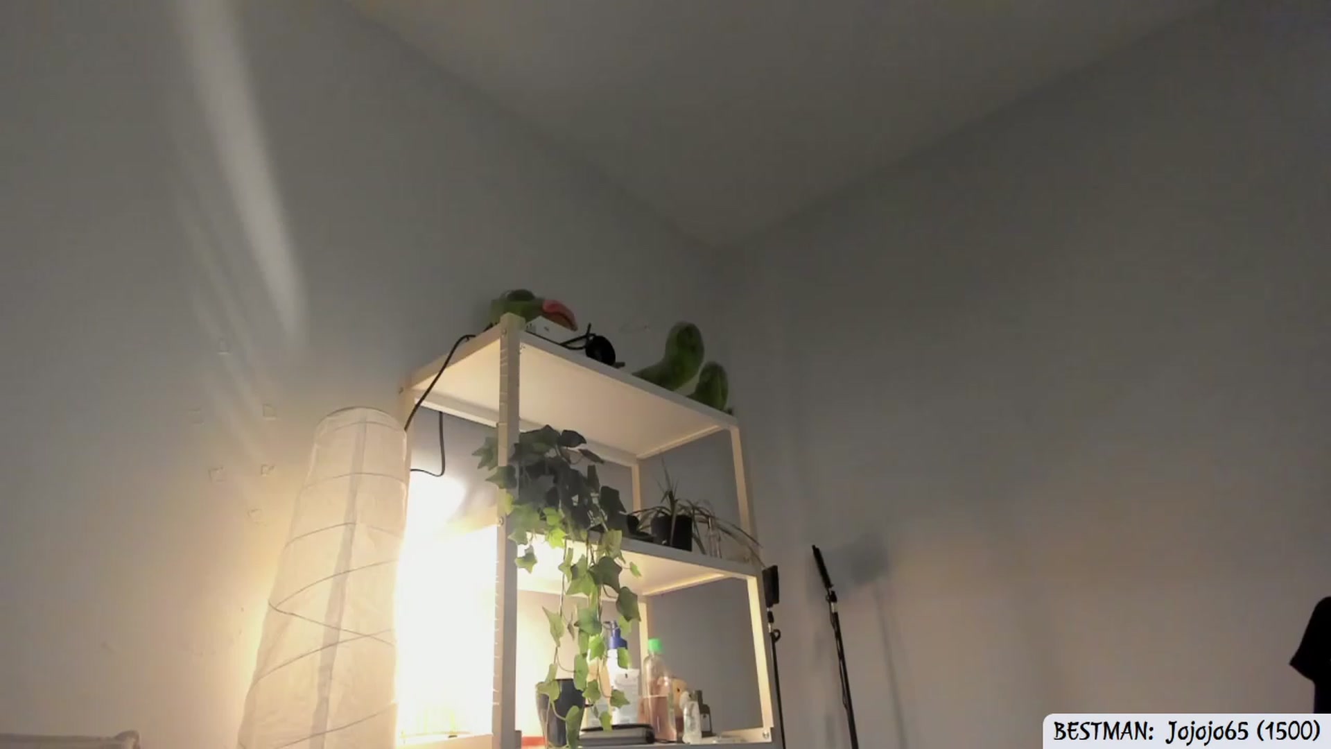 Gallery image thumbnail from Issa_7's myfreecams stream on, 07/03/2023, 03:47 image 1 of 20