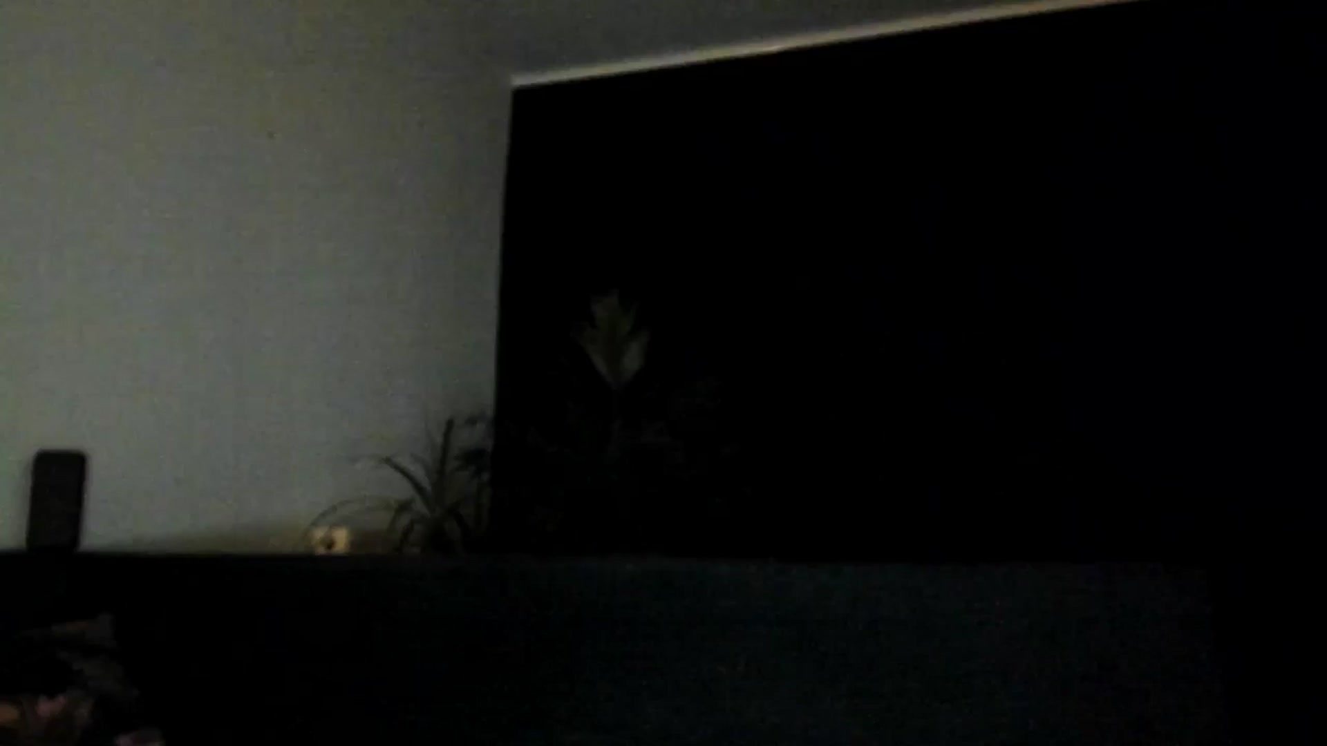Gallery image thumbnail from ItsEvie's myfreecams stream on, 03/16/2025, 01:05 image 1 of 20