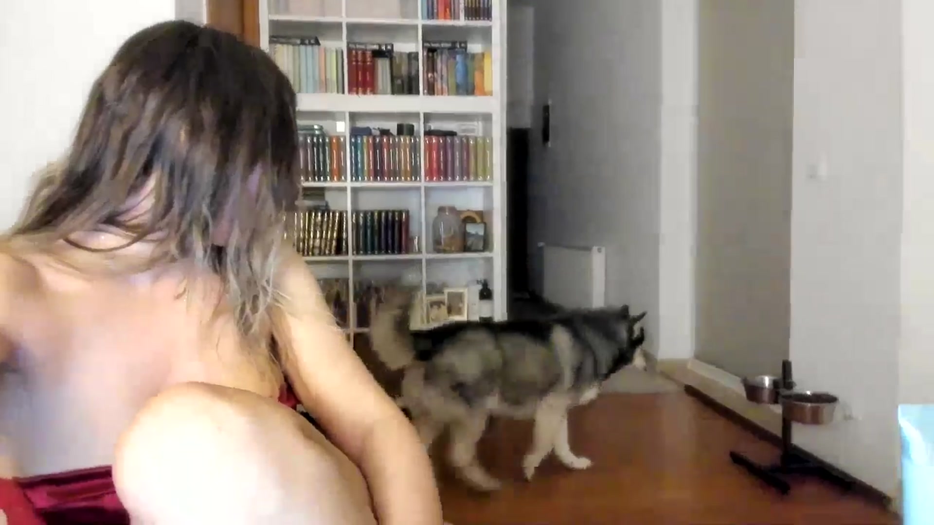 Gallery image thumbnail from ItsEvie's myfreecams stream on, 08/20/2025, 24:02 image 17 of 20