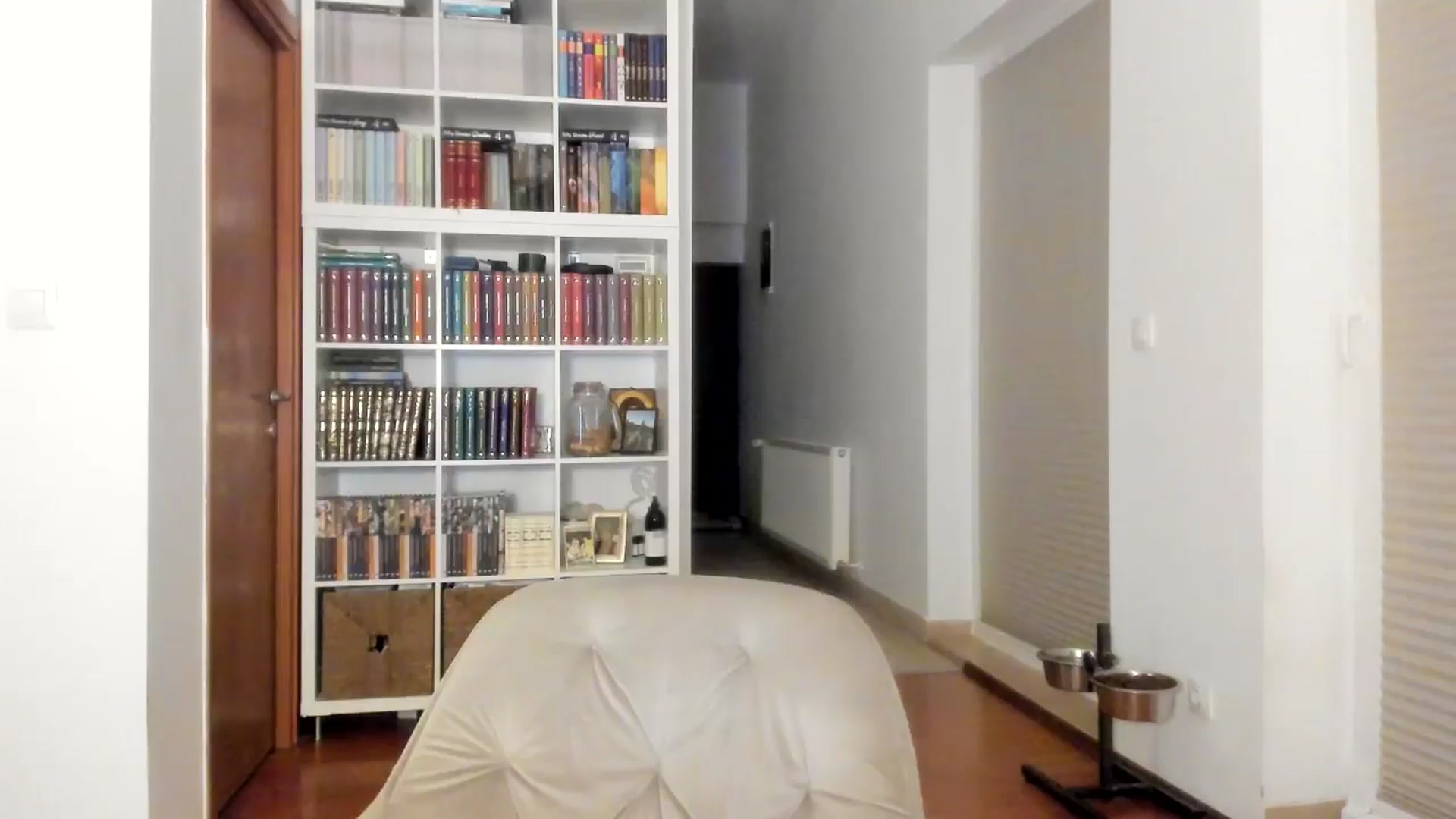 Gallery image thumbnail from ItsEvie's myfreecams stream on, 08/21/2025, 24:57 image 17 of 20
