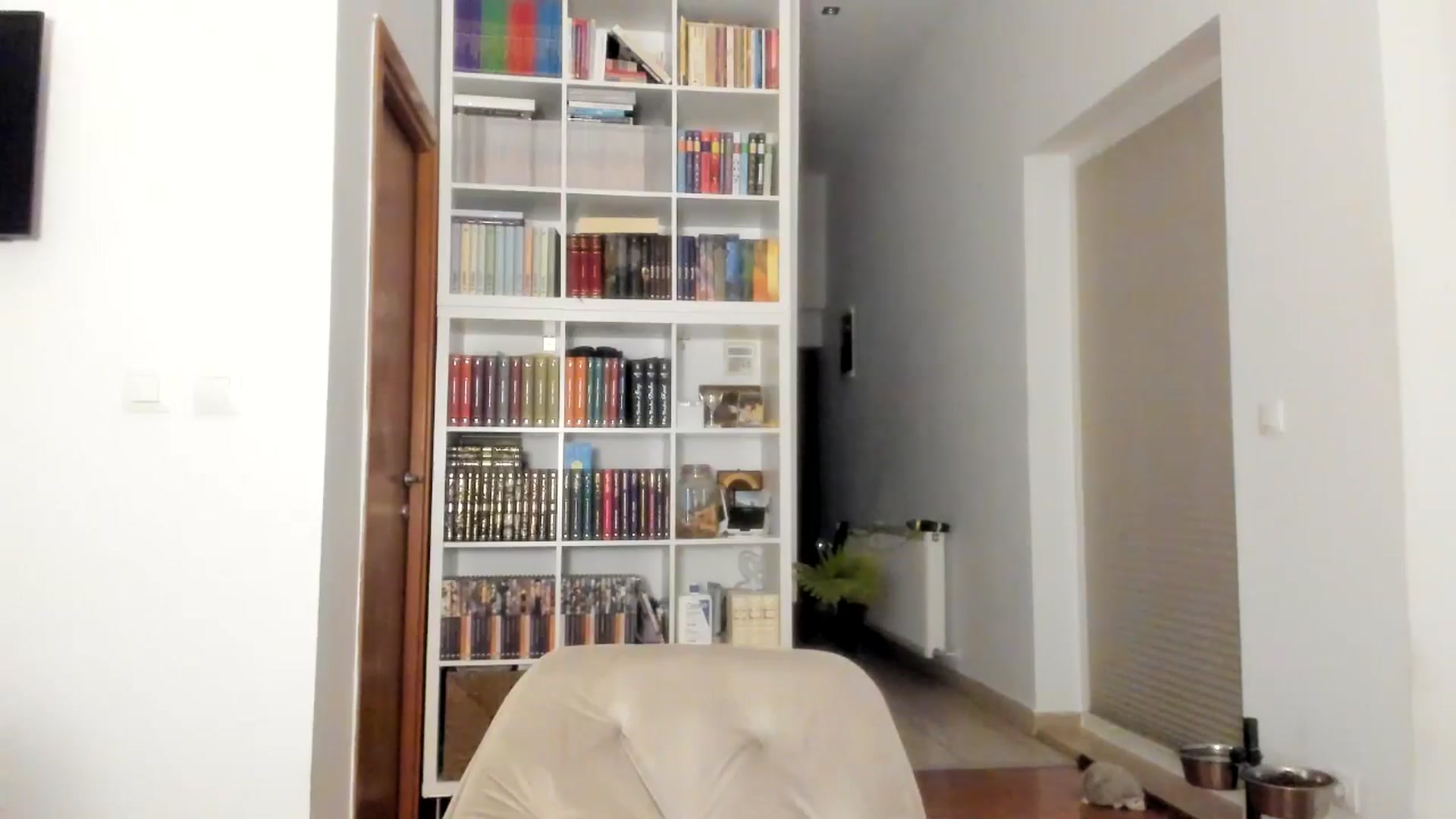 Gallery image thumbnail from ItsEvie's myfreecams stream on, 10/15/2025, 23:06 image 2 of 20