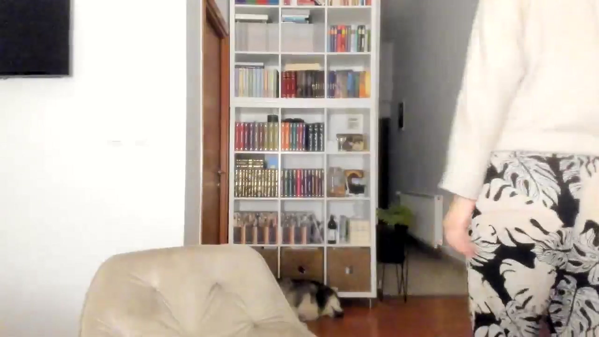 Gallery image thumbnail from ItsEvie's myfreecams stream on, 10/17/2025, 23:37 image 14 of 20