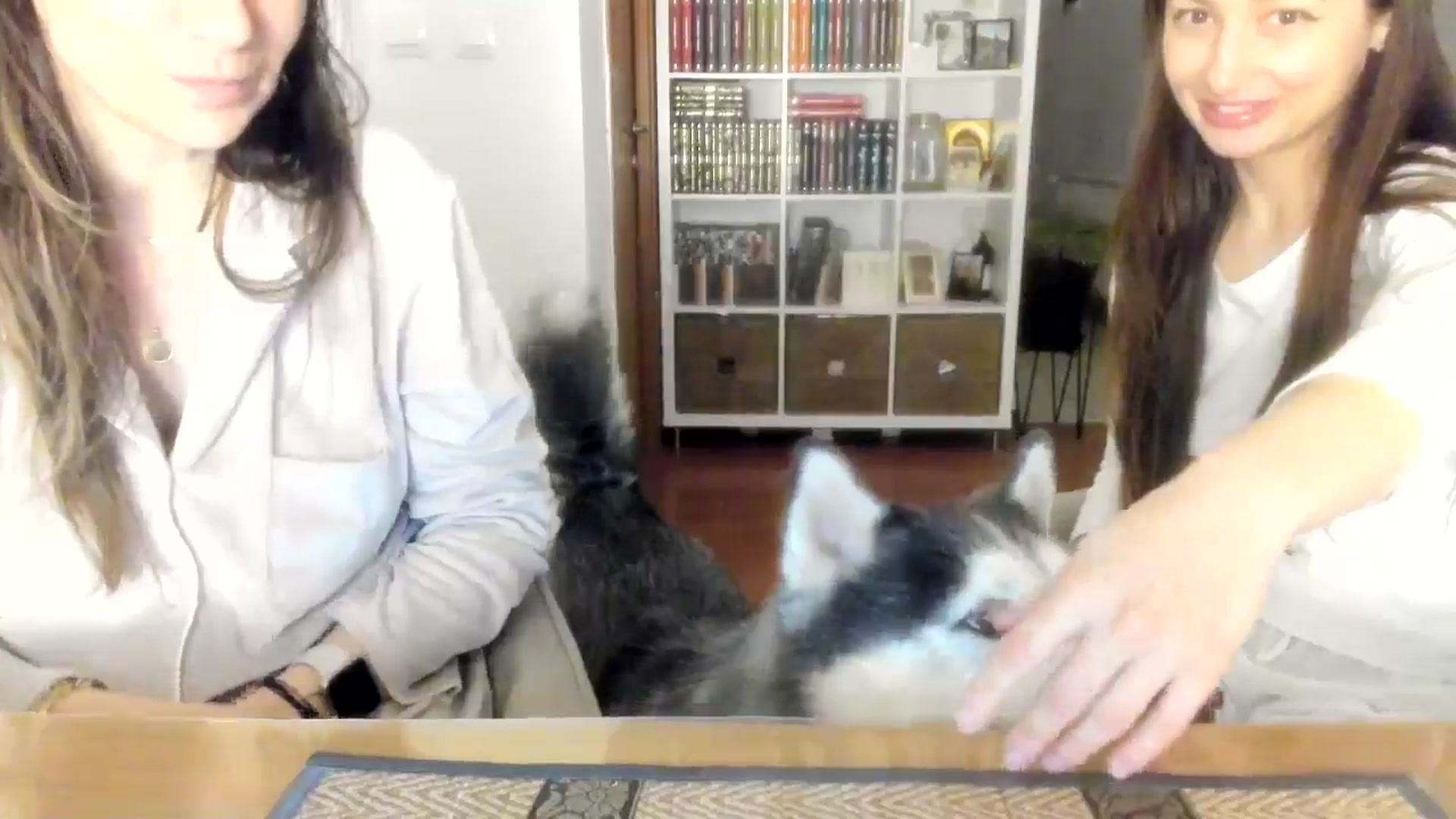 Gallery image thumbnail from ItsEvie's myfreecams stream on, 04/23/2026, 22:43 image 6 of 20