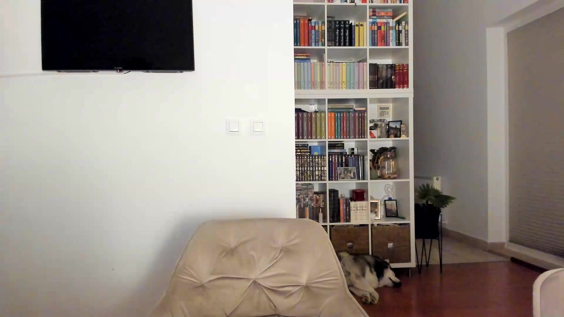 Gallery image thumbnail from ItsEvie's myfreecams stream on, 09/05/2026, 01:22 image 17 of 20