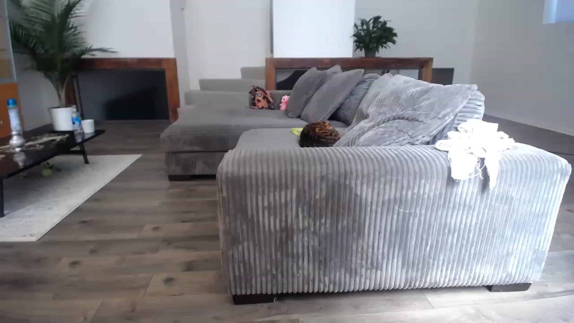 Gallery image thumbnail from ItsJade's myfreecams stream on, 03/14/2023, 17:58 image 15 of 20