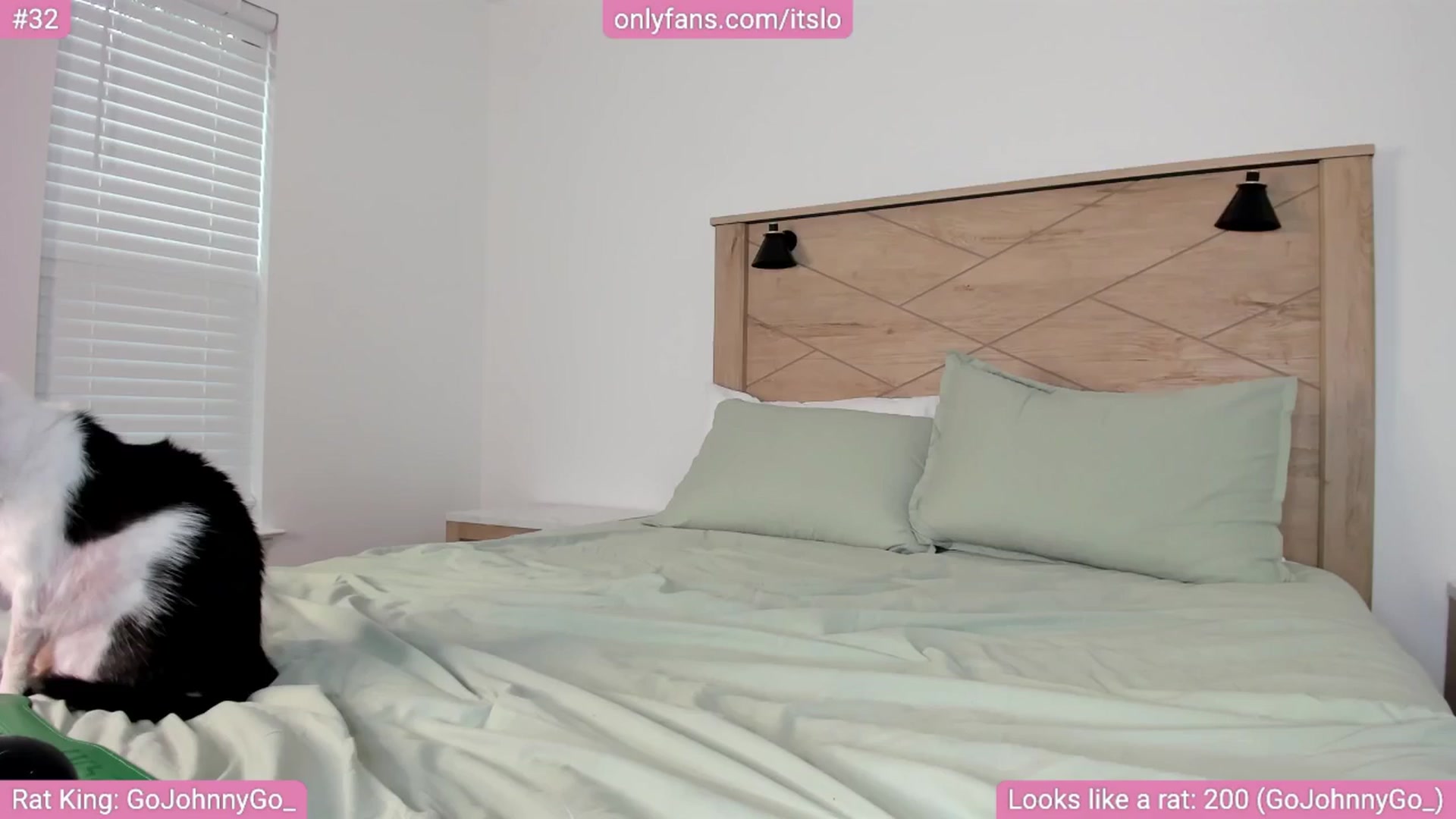 Gallery image thumbnail from ItsLo's myfreecams stream on, 05/03/2024, 23:56 image 14 of 20