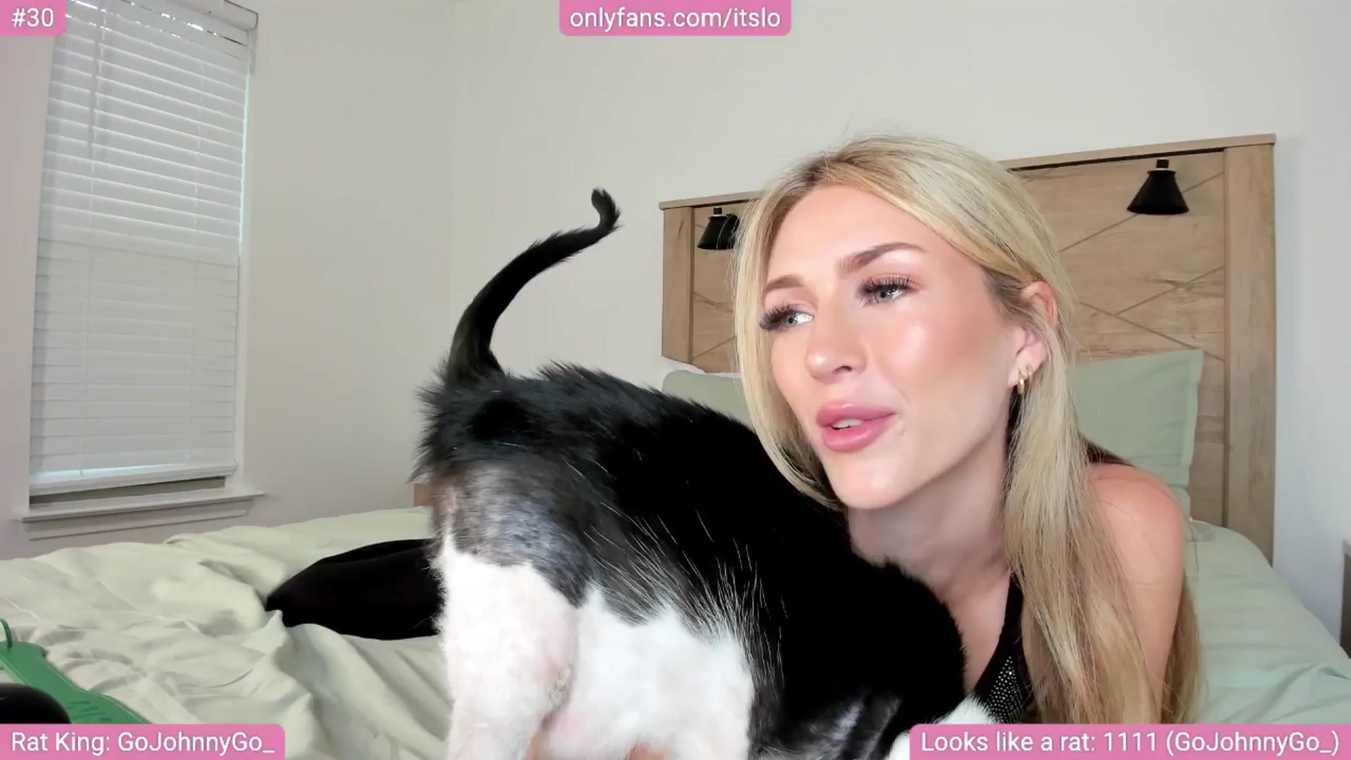 Gallery image thumbnail from ItsLo's myfreecams stream on, 05/03/2024, 23:56 image 19 of 20