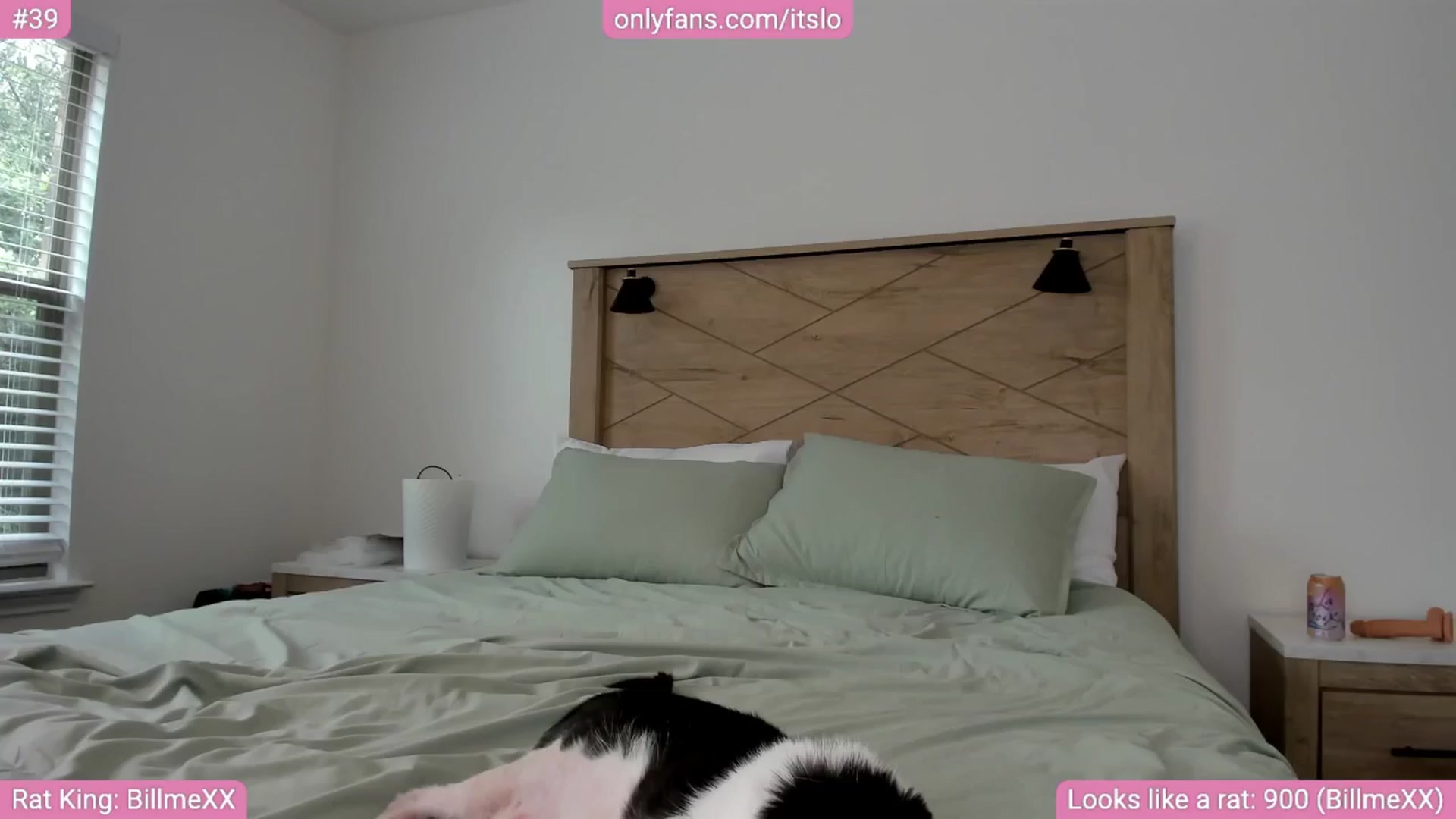 Gallery image thumbnail from ItsLo's myfreecams stream on, 05/08/2024, 18:49 image 19 of 20