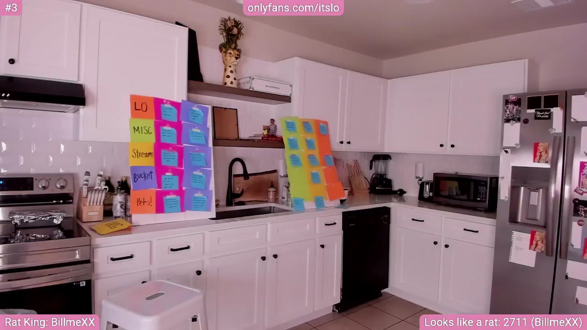 Gallery image thumbnail from ItsLo's myfreecams stream on, 08/23/2024, 01:13 image 3 of 20