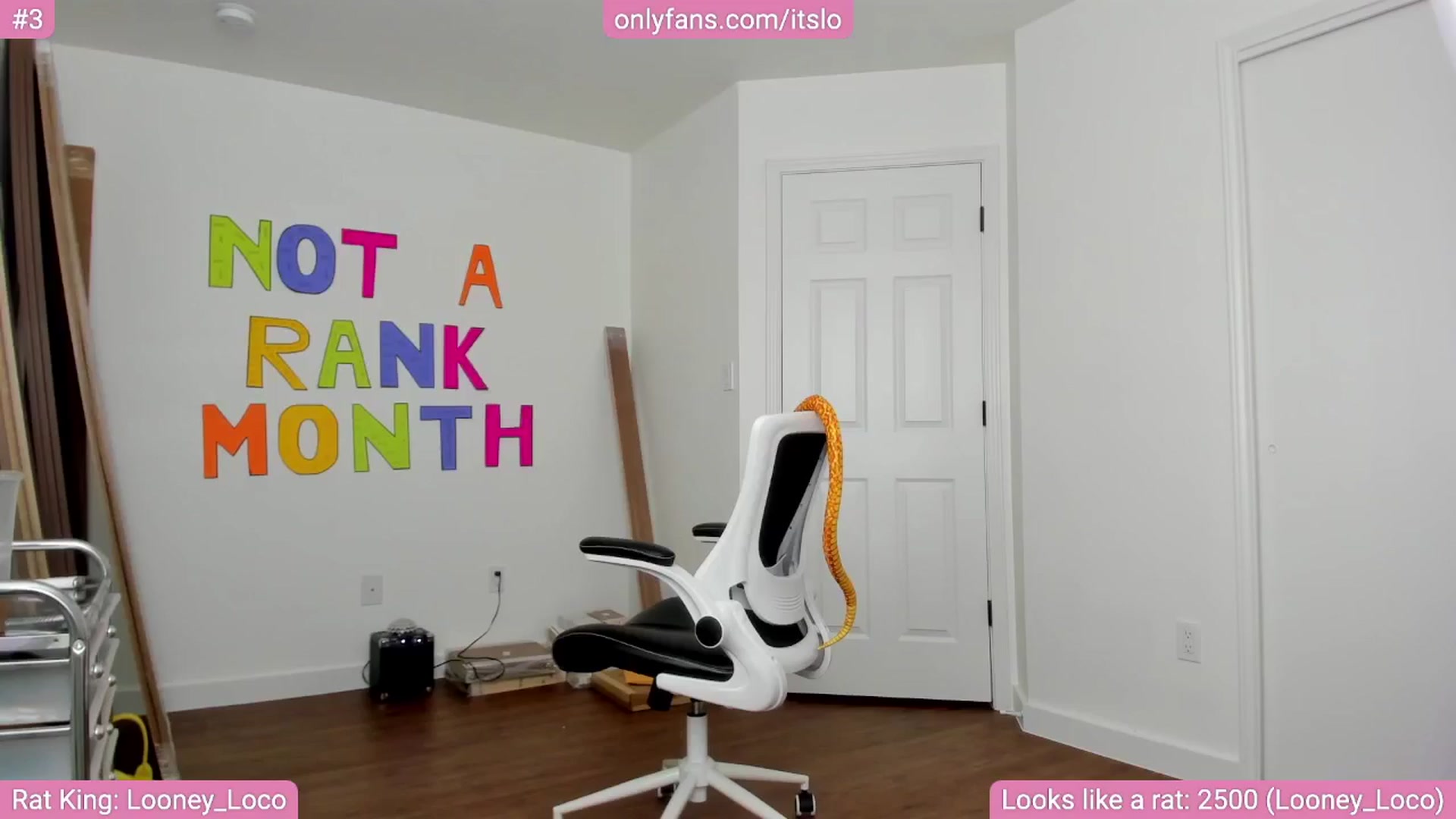 Gallery image thumbnail from ItsLo's myfreecams stream on, 08/26/2024, 22:55 image 11 of 20