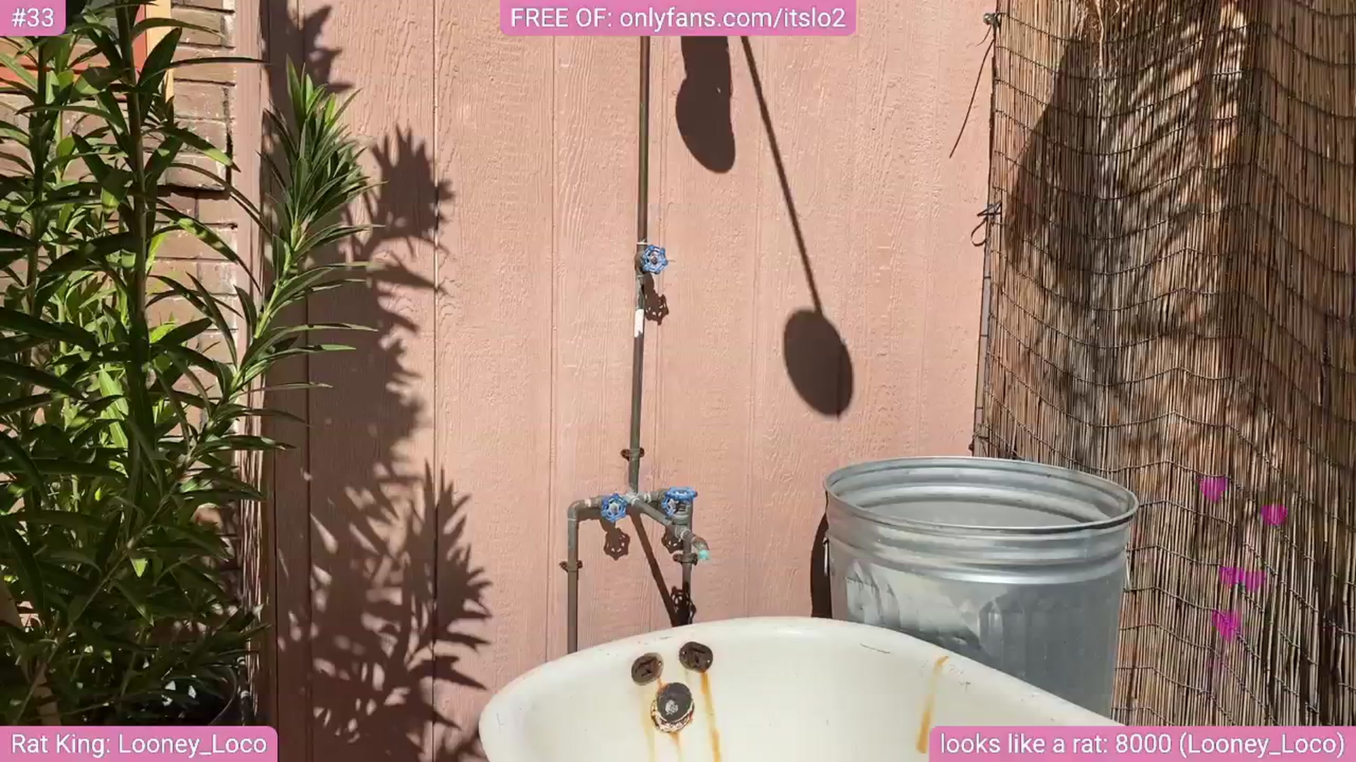 Gallery image thumbnail from ItsLo's myfreecams stream on, 10/01/2025, 20:34 image 19 of 20