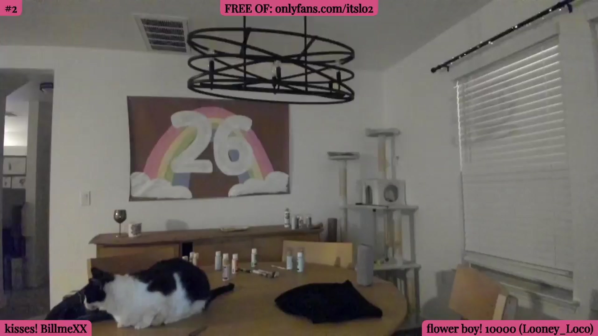 Gallery image thumbnail from ItsLo's myfreecams stream on, 03/14/2026, 03:30 image 20 of 20