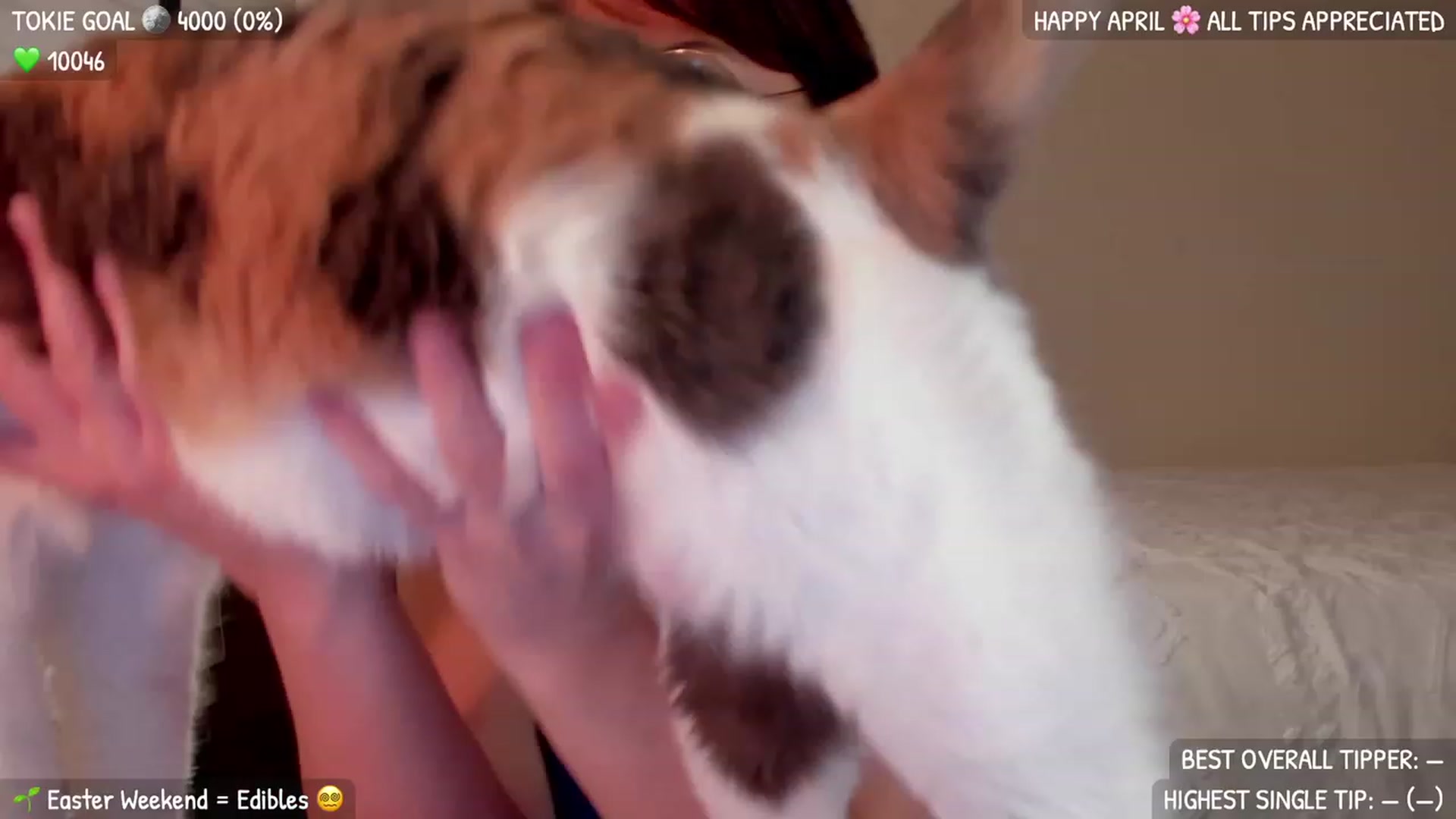 Gallery image thumbnail from ItsMar's myfreecams stream on, 04/09/2023, 05:42 image 13 of 20
