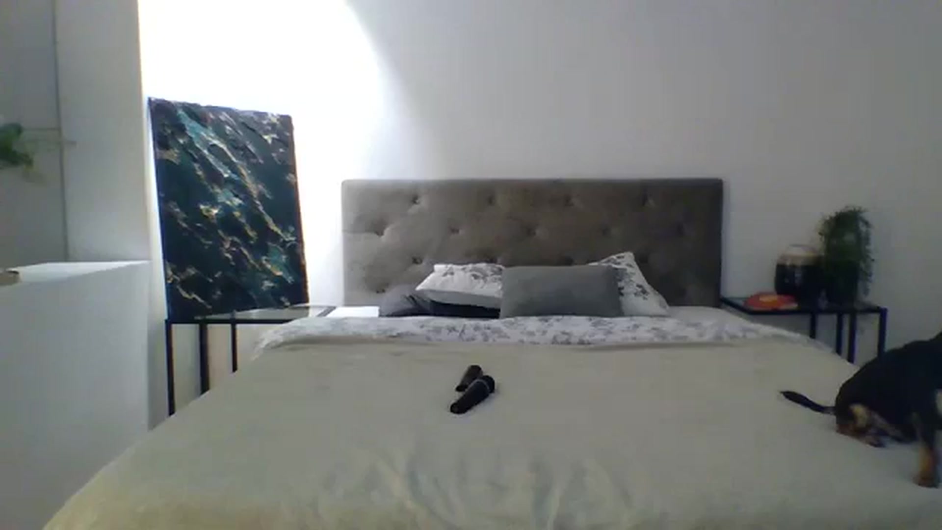 Gallery image thumbnail from ItsMe's myfreecams stream on, 11/15/2023, 11:37 image 4 of 20