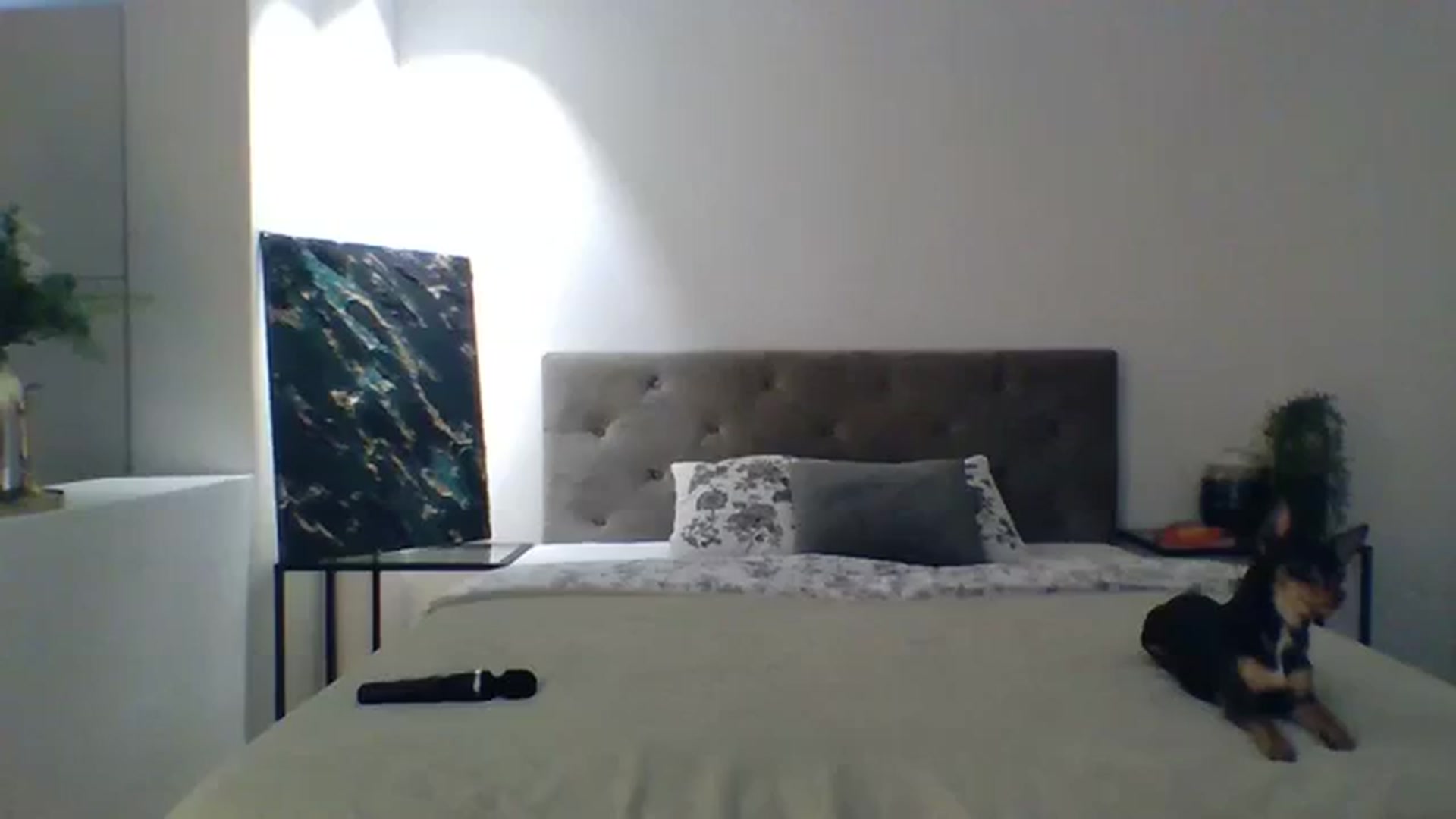 Gallery image thumbnail from ItsMe's myfreecams stream on, 11/16/2023, 10:45 image 18 of 20