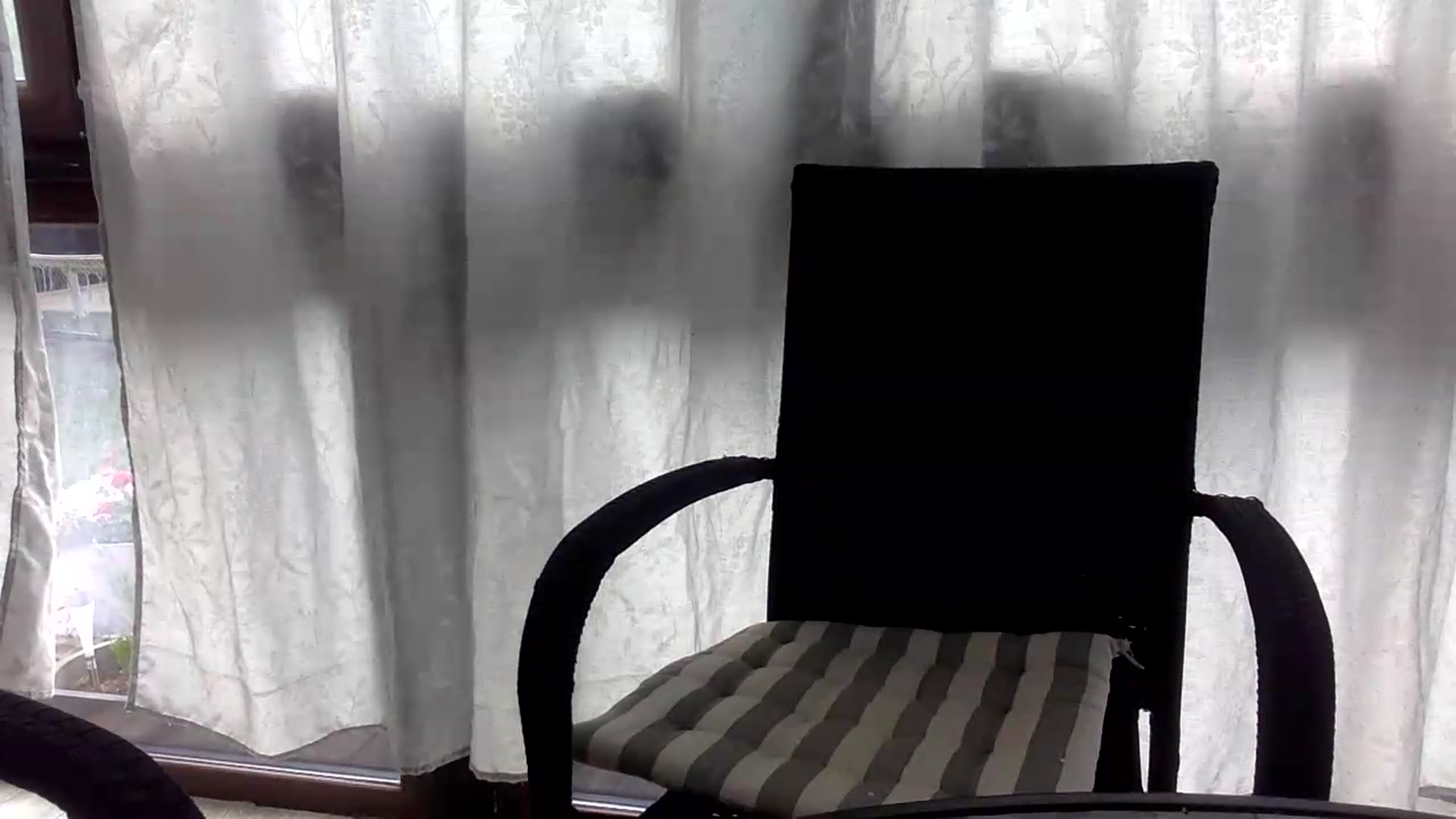 Gallery image thumbnail from ItsMe_Ila's myfreecams stream on, 07/17/2026, 14:33 image 11 of 20