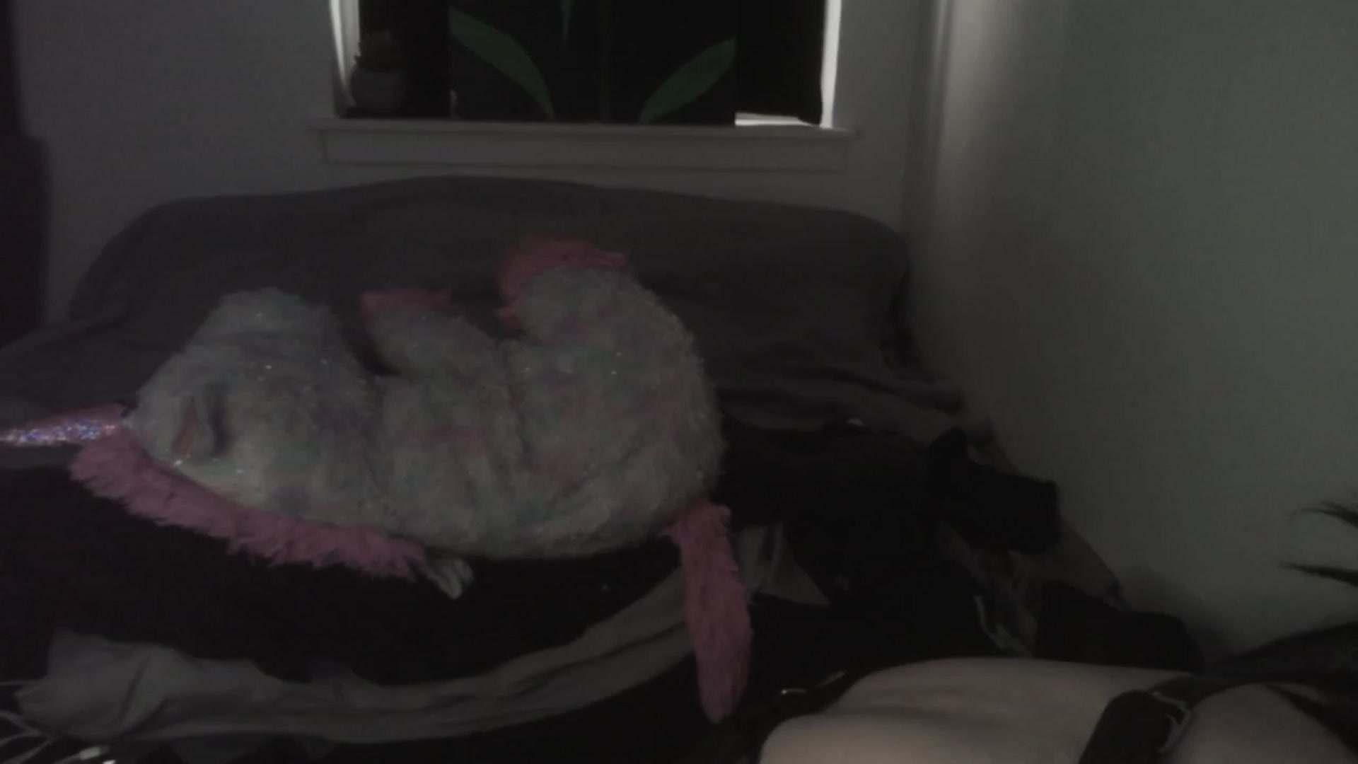 Gallery image thumbnail from ItsRavenRoses's myfreecams stream on, 07/04/2023, 18:51 image 8 of 20