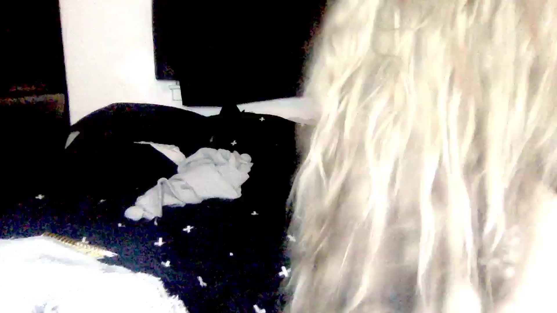 Gallery image thumbnail from ItsRavenRoses's myfreecams stream on, 02/04/2024, 14:21 image 13 of 20