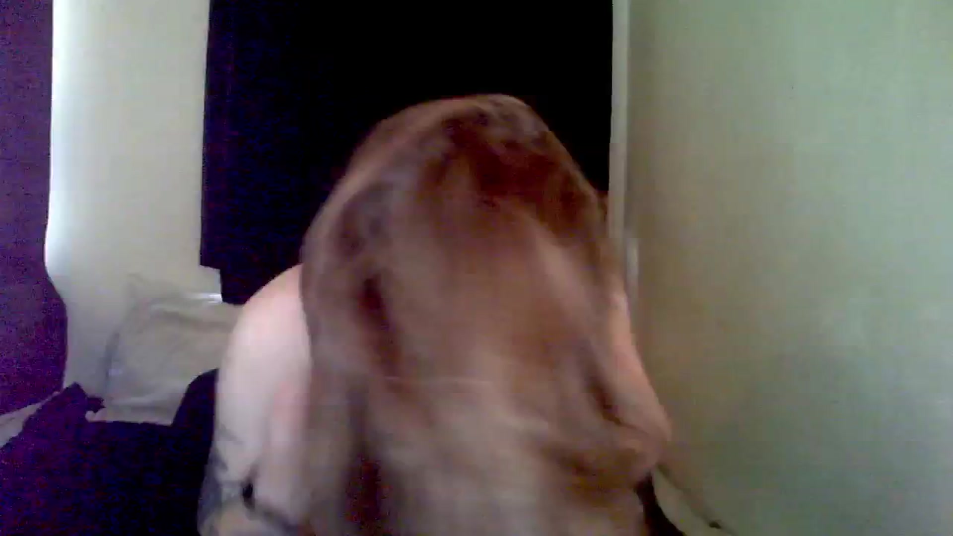 Gallery image thumbnail from ItsRavenRoses's myfreecams stream on, 02/28/2024, 19:55 image 15 of 20