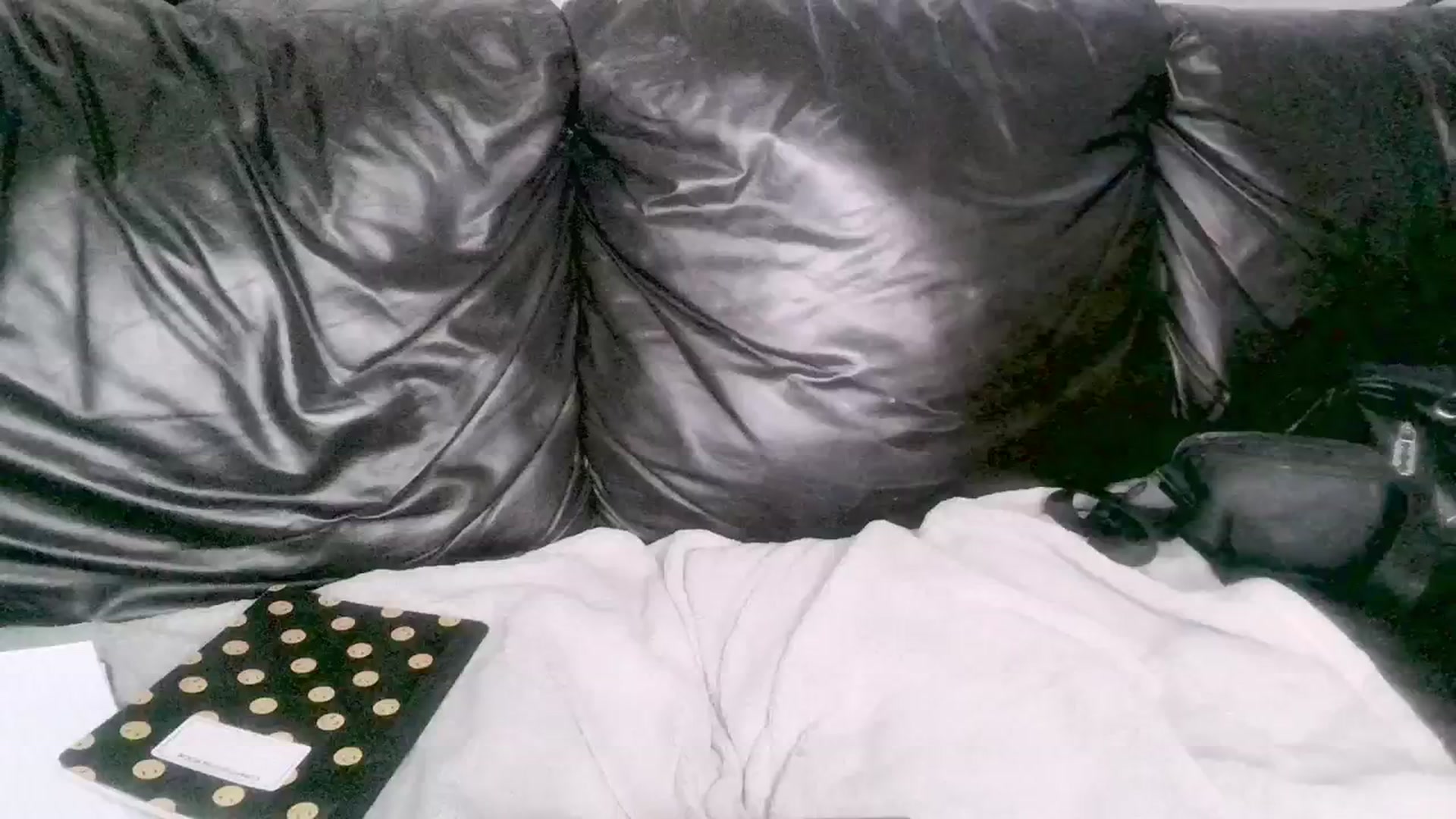 Gallery image thumbnail from ItsRavenRoses's myfreecams stream on, 03/10/2024, 20:38 image 15 of 20