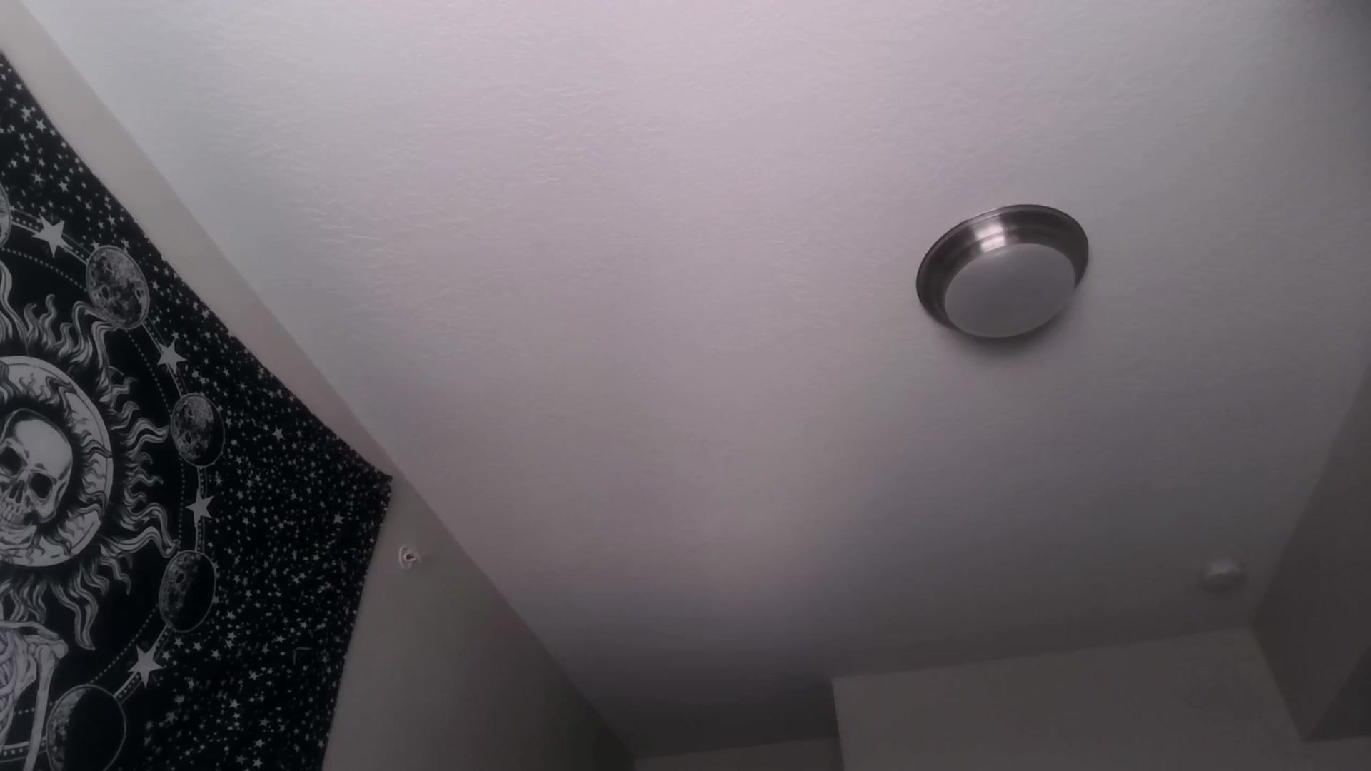 Gallery image thumbnail from ItsRavenRoses's myfreecams stream on, 04/20/2025, 24:04 image 13 of 20
