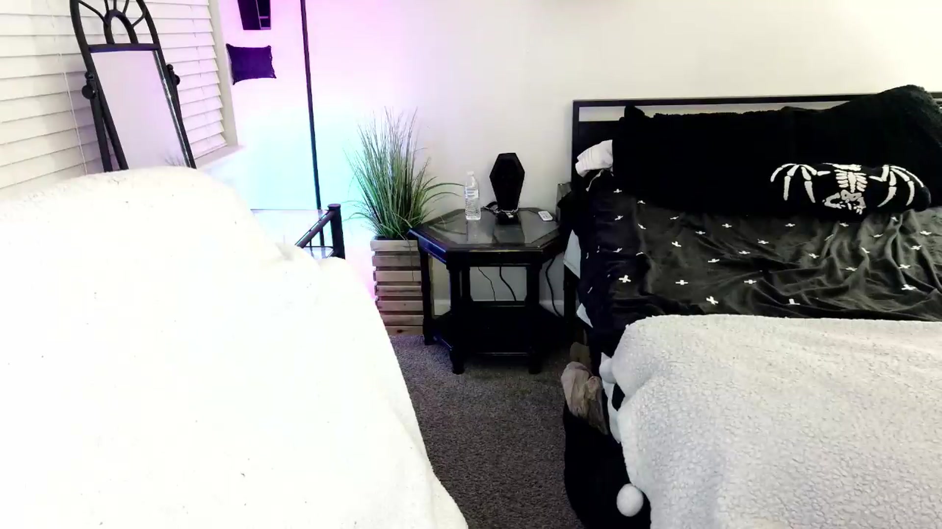 Gallery image thumbnail from ItsRavenRoses's myfreecams stream on, 08/09/2026, 05:21 image 20 of 20