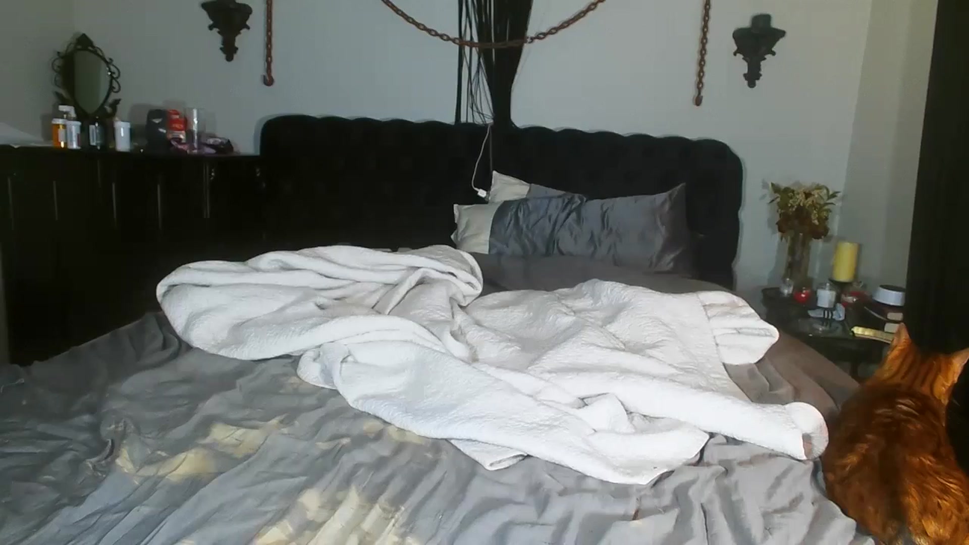 Gallery image thumbnail from ItsRoseRyder's myfreecams stream on, 11/17/2024, 08:22 image 5 of 20