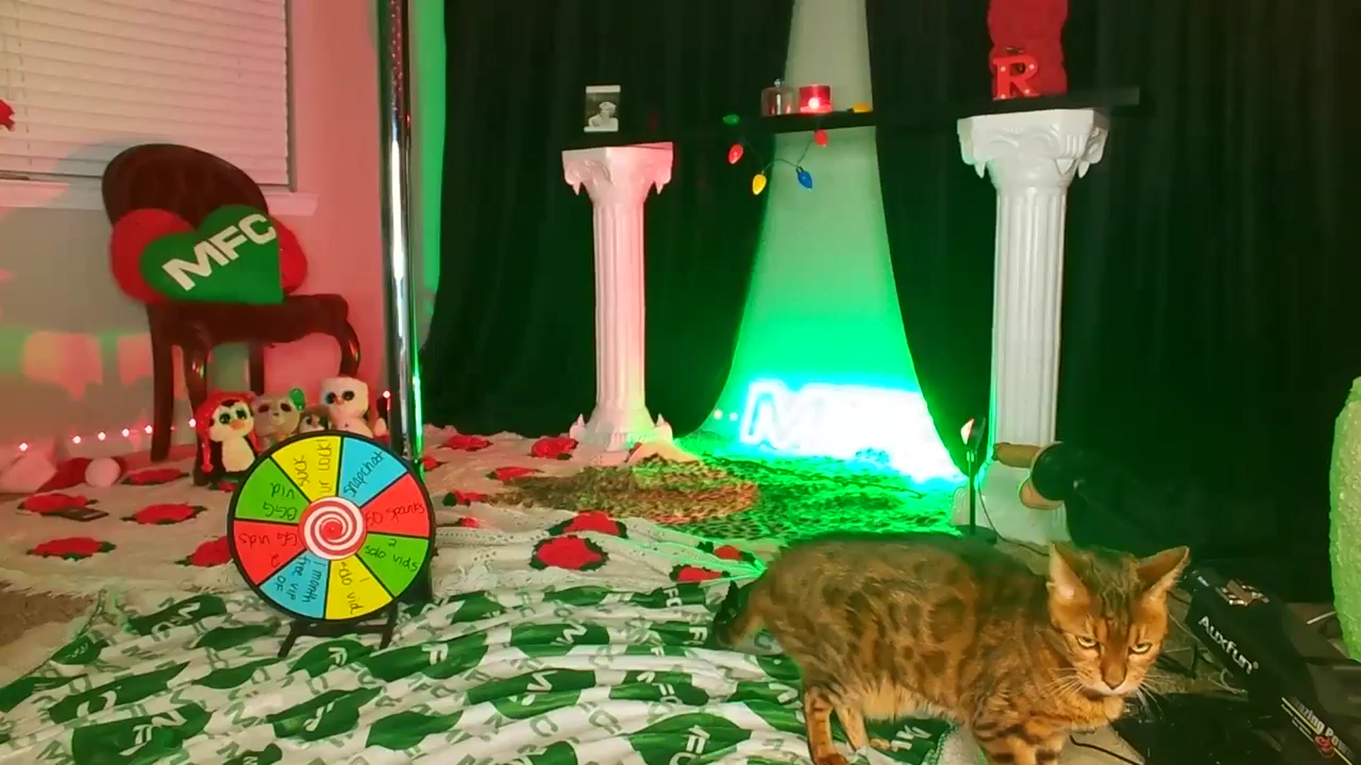 Gallery image thumbnail from ItsRoseRyder's myfreecams stream on, 12/10/2024, 07:29 image 20 of 20