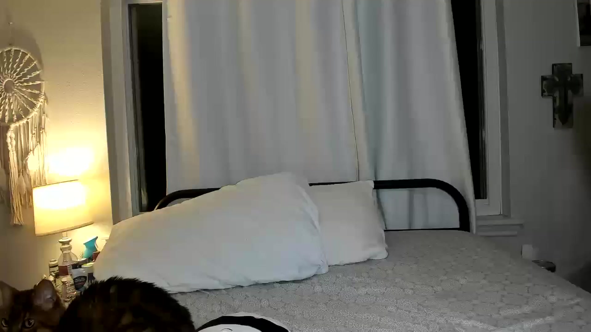Gallery image thumbnail from ItsRoseRyder's myfreecams stream on, 03/17/2026, 06:51 image 15 of 20