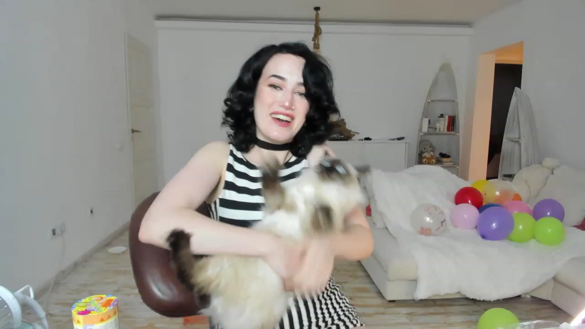 Gallery image thumbnail from Its_Cassidy's myfreecams stream on, 11/28/2022, 19:27 image 19 of 20