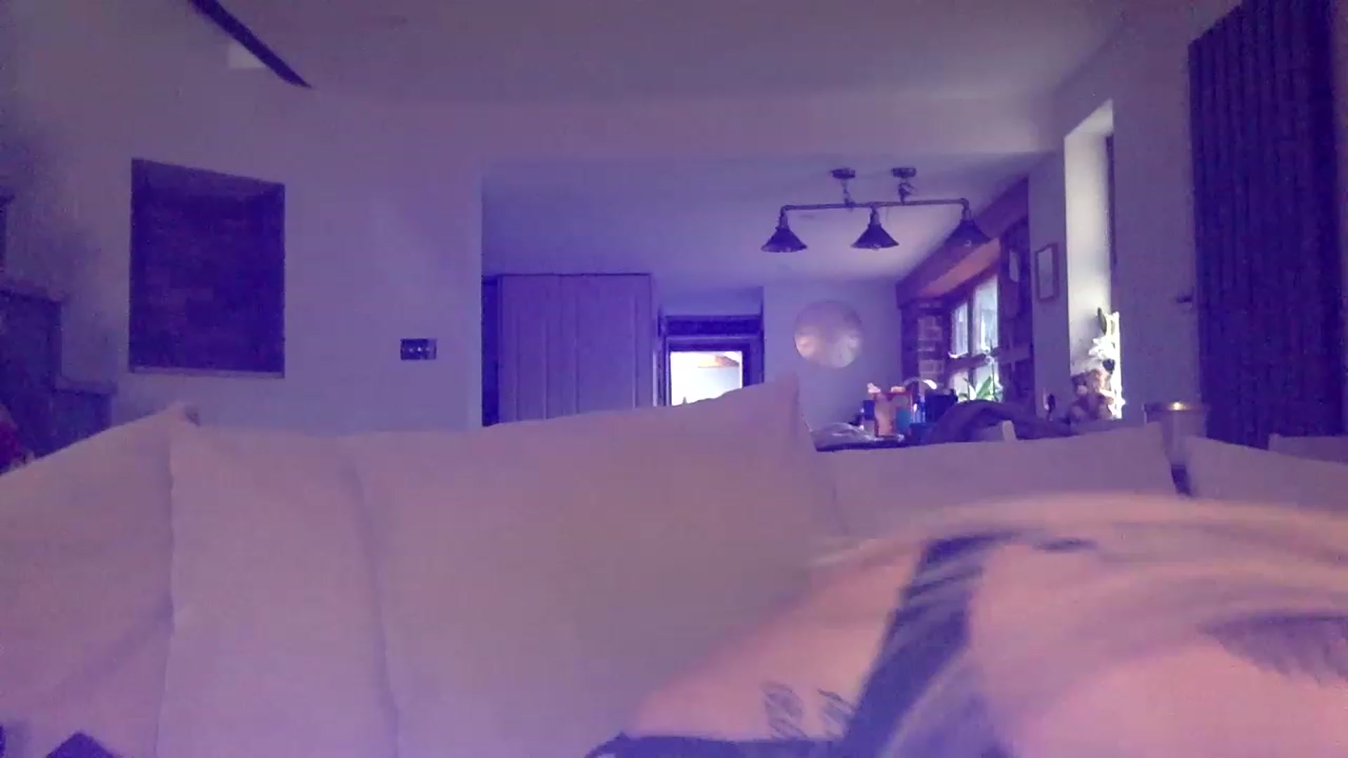 Gallery image thumbnail from Its_just_Evie's myfreecams stream on, 01/08/2023, 13:07 image 4 of 20