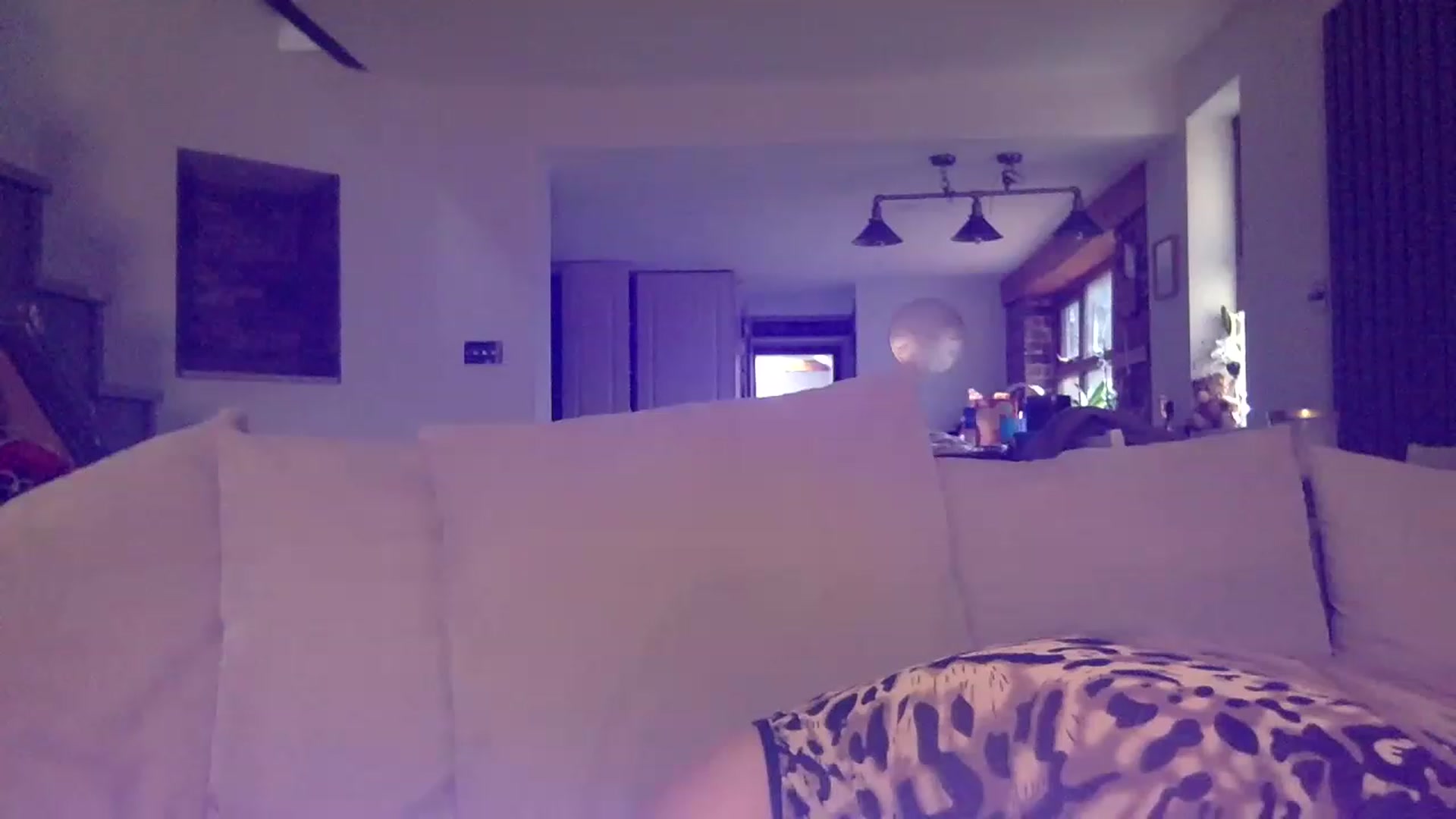 Gallery image thumbnail from Its_just_Evie's myfreecams stream on, 01/08/2023, 14:04 image 10 of 20
