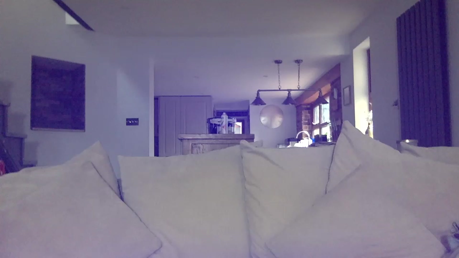 Gallery image thumbnail from Its_just_Evie's myfreecams stream on, 02/28/2023, 10:51 image 2 of 20