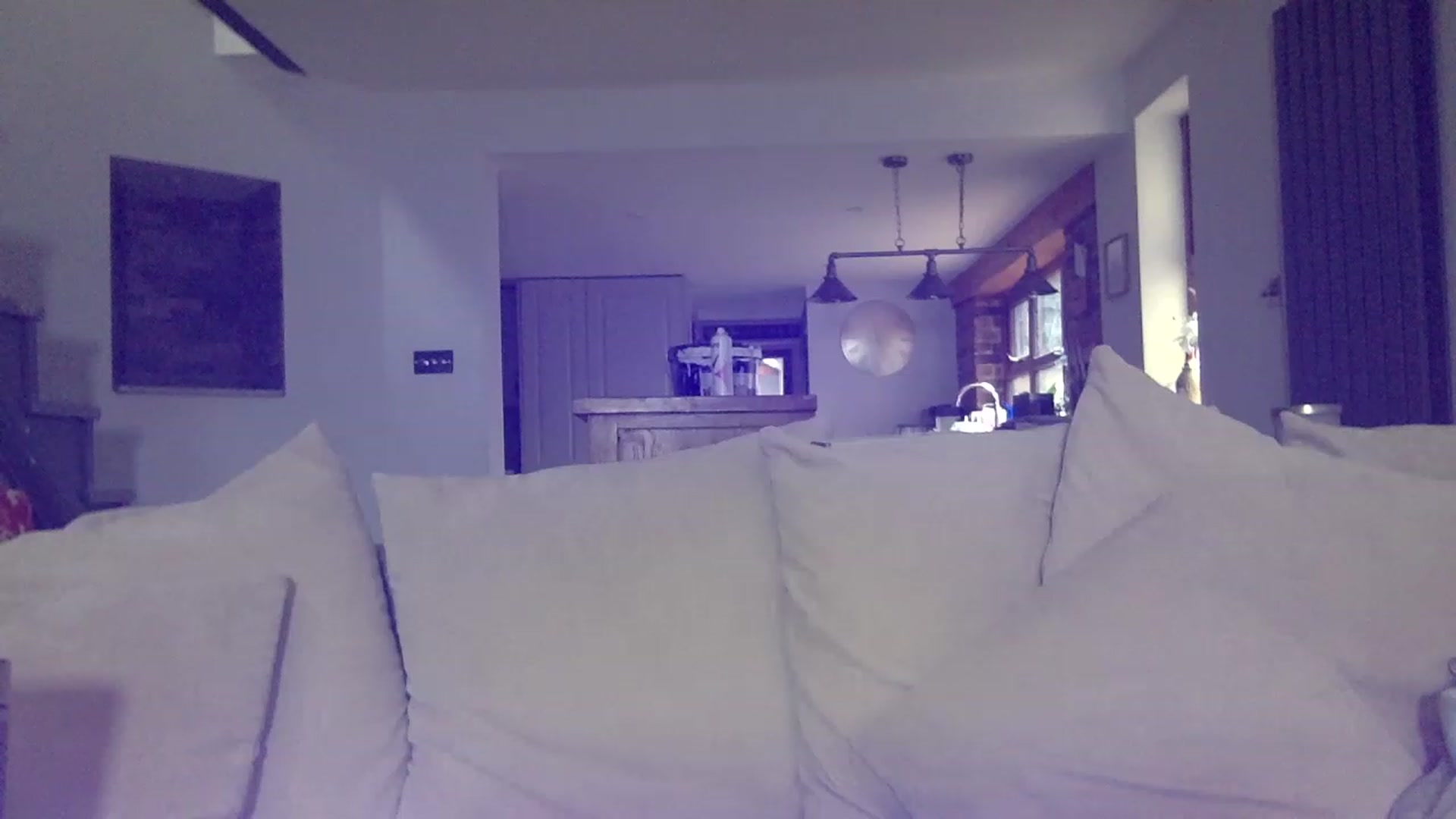 Gallery image thumbnail from Its_just_Evie's myfreecams stream on, 02/28/2023, 13:01 image 2 of 20