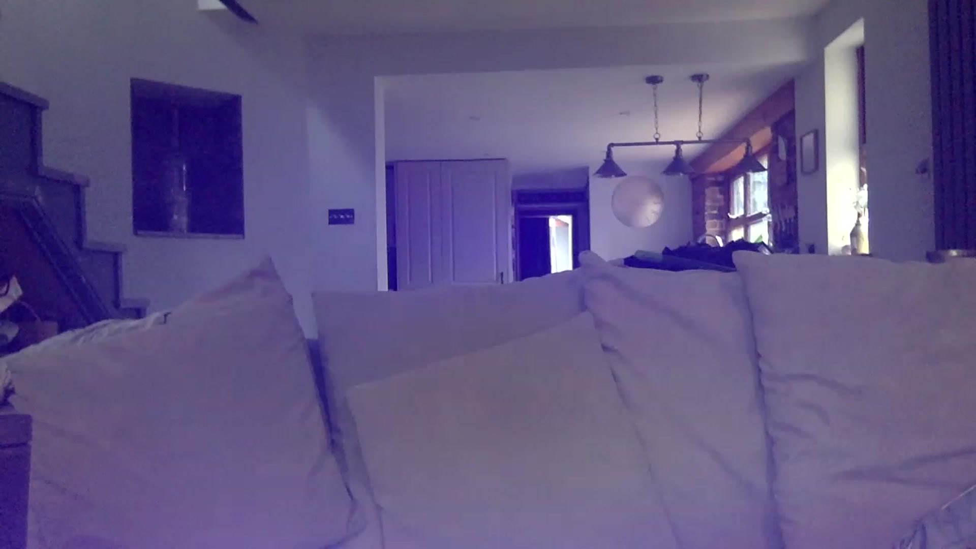 Gallery image thumbnail from Its_just_Evie's myfreecams stream on, 03/01/2023, 12:22 image 5 of 20