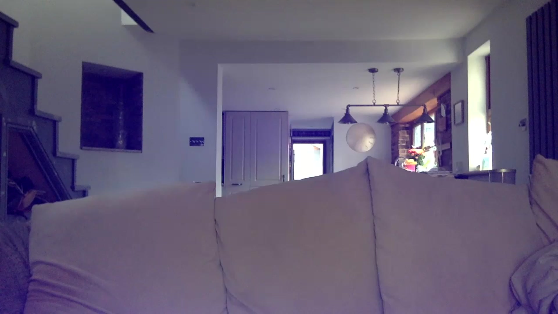Gallery image thumbnail from Its_just_Evie's myfreecams stream on, 03/29/2023, 13:14 image 3 of 20