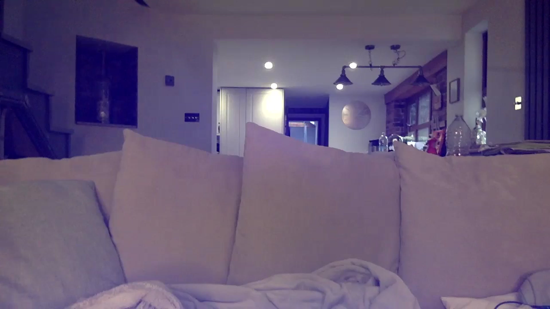 Gallery image thumbnail from Its_just_Evie's myfreecams stream on, 12/13/2023, 13:44 image 4 of 20