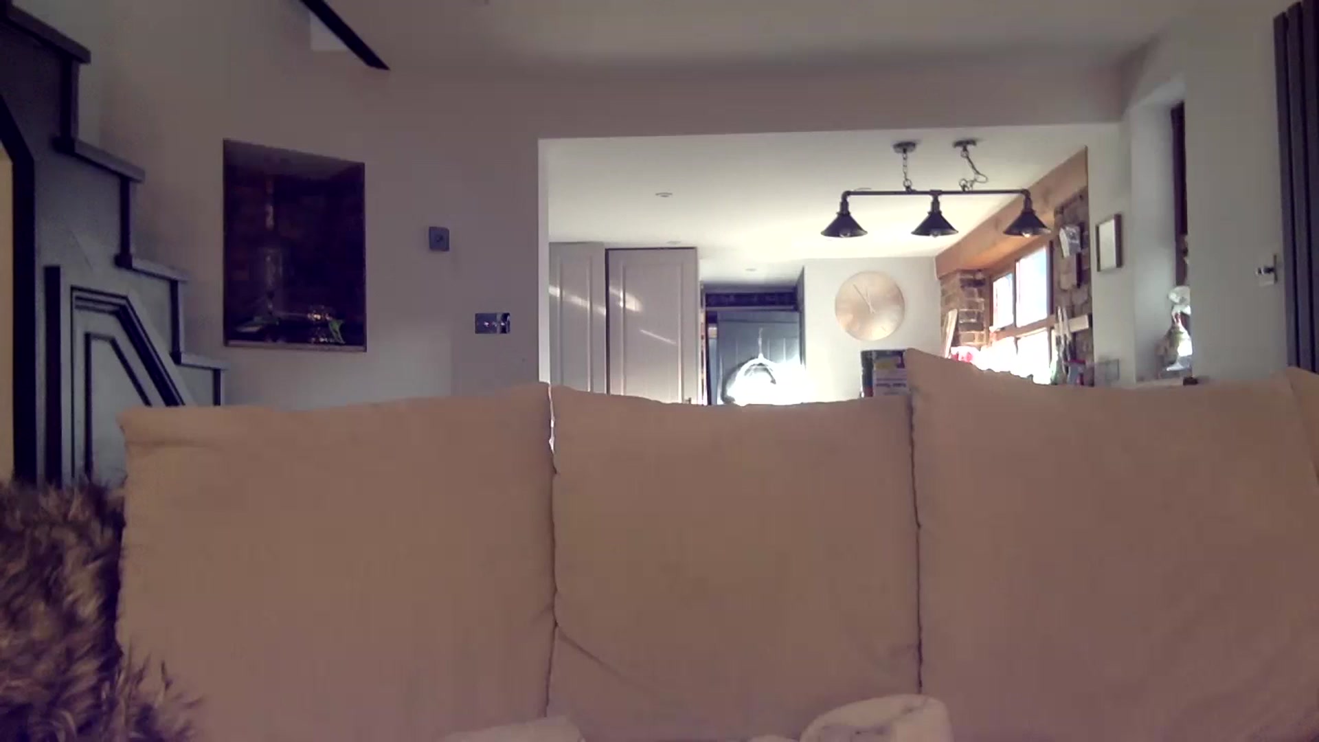 Gallery image thumbnail from Its_just_Evie's myfreecams stream on, 11/12/2024, 12:03 image 10 of 20