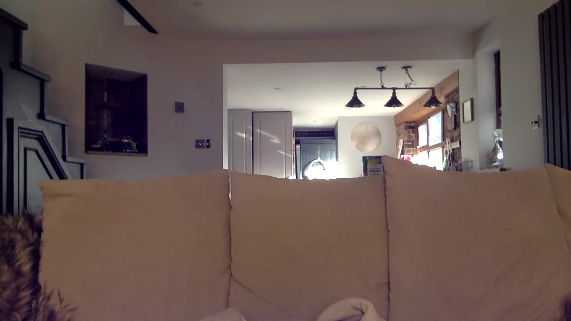Gallery image thumbnail from Its_just_Evie's myfreecams stream on, 11/12/2024, 12:03 image 20 of 20