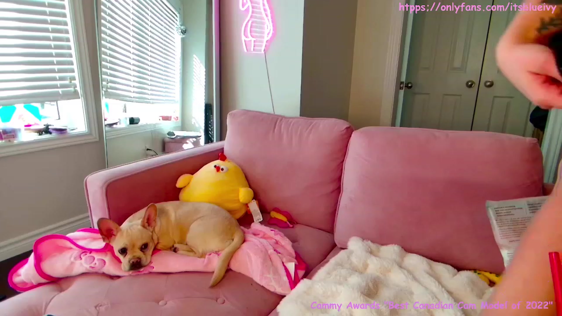 Gallery image thumbnail from Itsivyblue's myfreecams stream on, 03/01/2024, 17:35 image 10 of 20