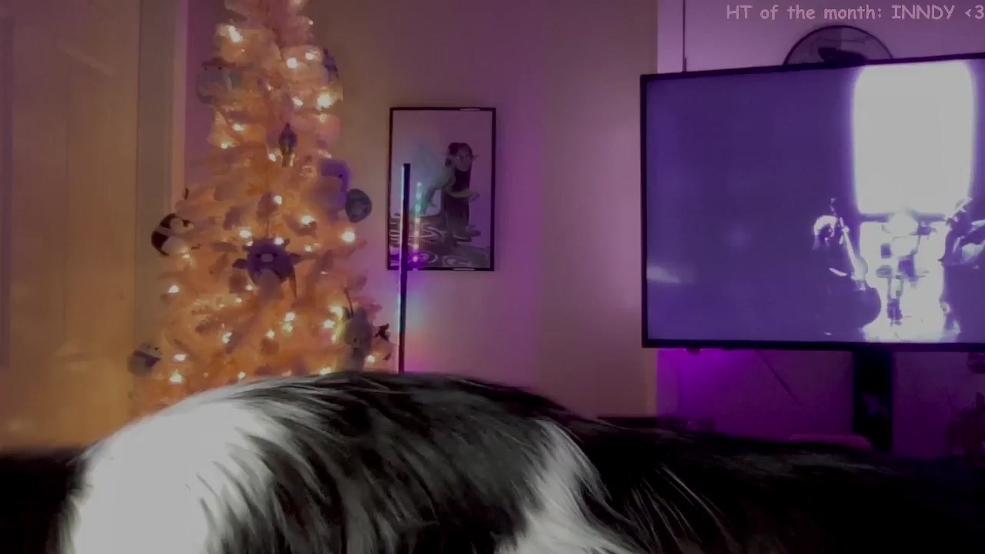 Gallery image thumbnail from Itsivyblue's myfreecams stream on, 12/04/2025, 05:18 image 15 of 20