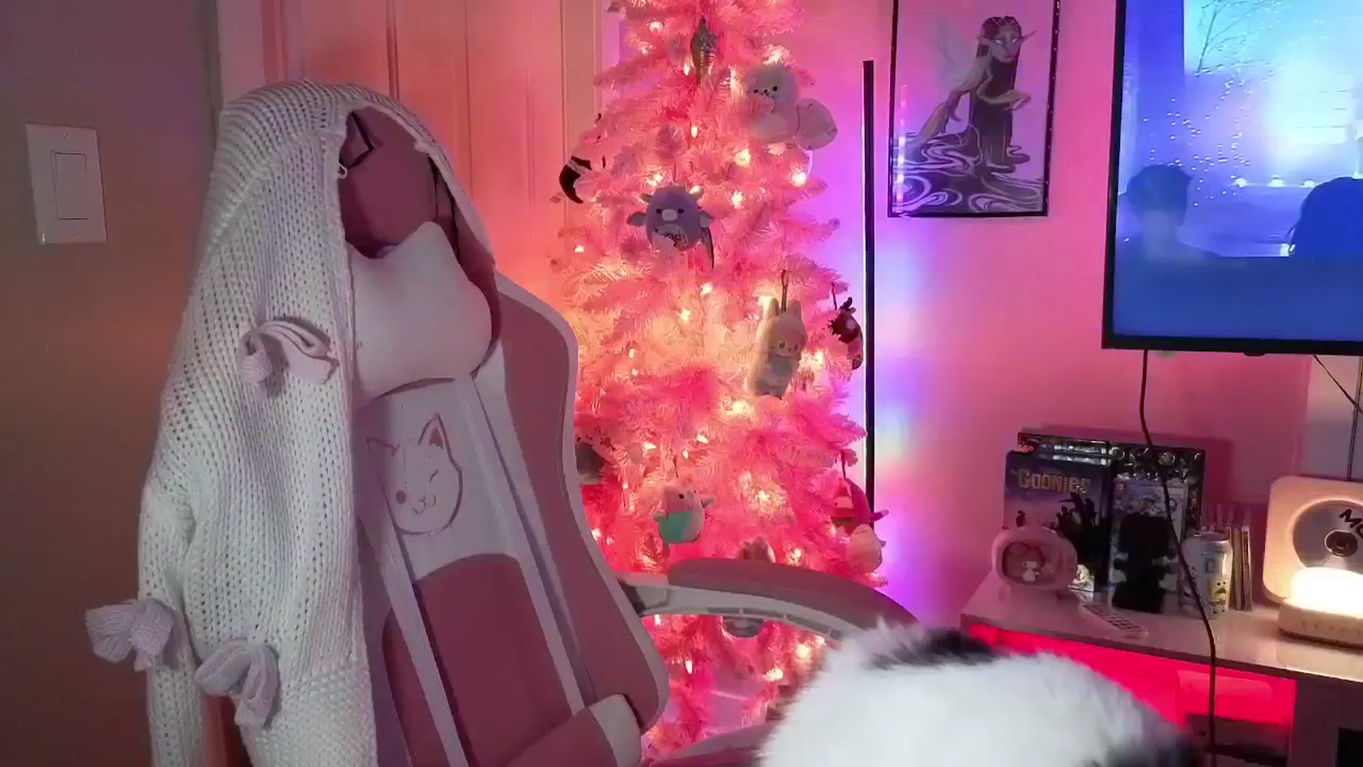 Gallery image thumbnail from Itsivyblue's myfreecams stream on, 12/12/2025, 06:22 image 2 of 20