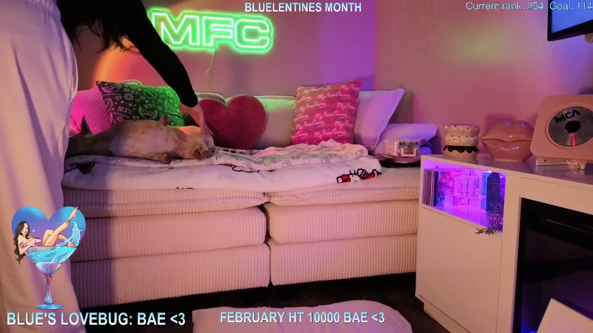 Gallery image thumbnail from Itsivyblue's myfreecams stream on, 02/25/2026, 04:36 image 14 of 20