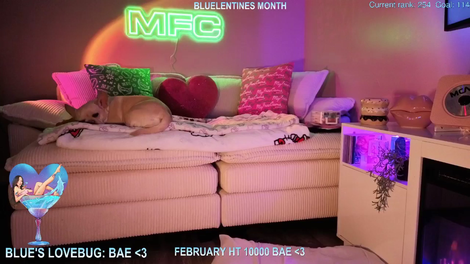 Gallery image thumbnail from Itsivyblue's myfreecams stream on, 02/25/2026, 04:36 image 5 of 20