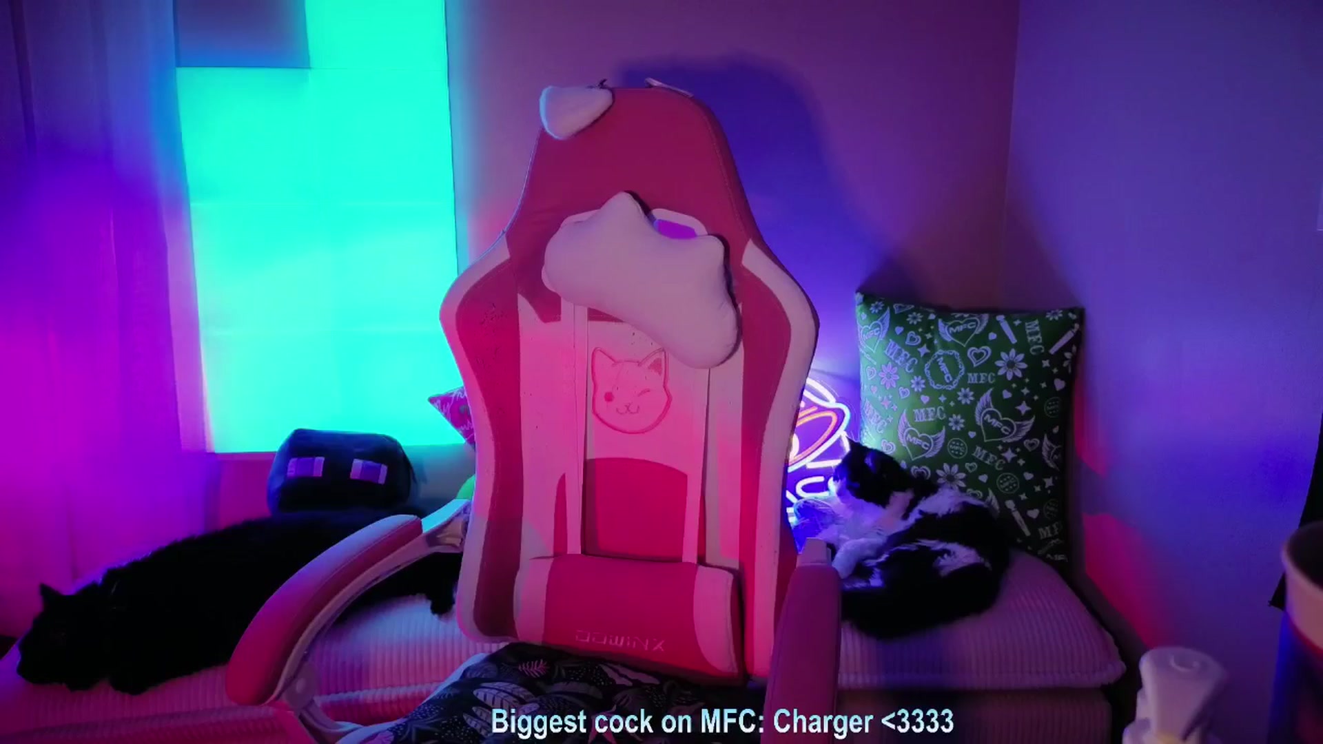 Gallery image thumbnail from Itsivyblue's myfreecams stream on, 04/05/2026, 05:08 image 11 of 20