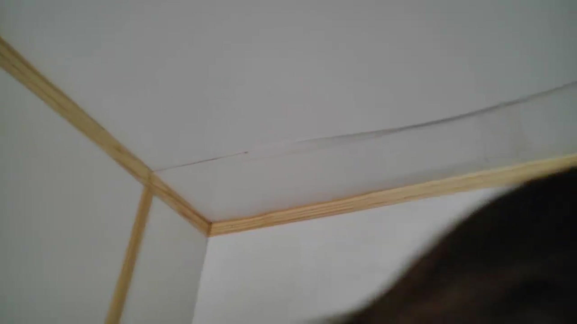 Gallery image thumbnail from Ivorysunday's myfreecams stream on, 06/29/2026, 20:06 image 8 of 20