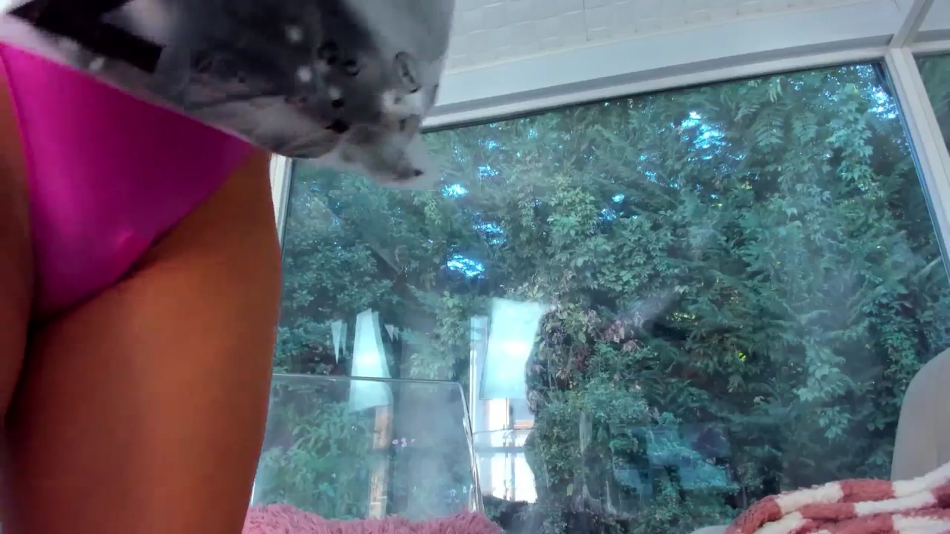 Gallery image thumbnail from IvyAnna's myfreecams stream on, 09/09/2024, 08:38 image 5 of 20